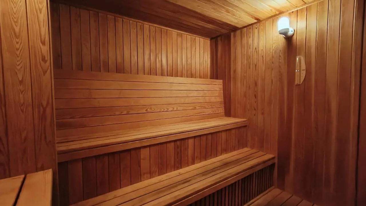 Sauna in S Aura Hotel