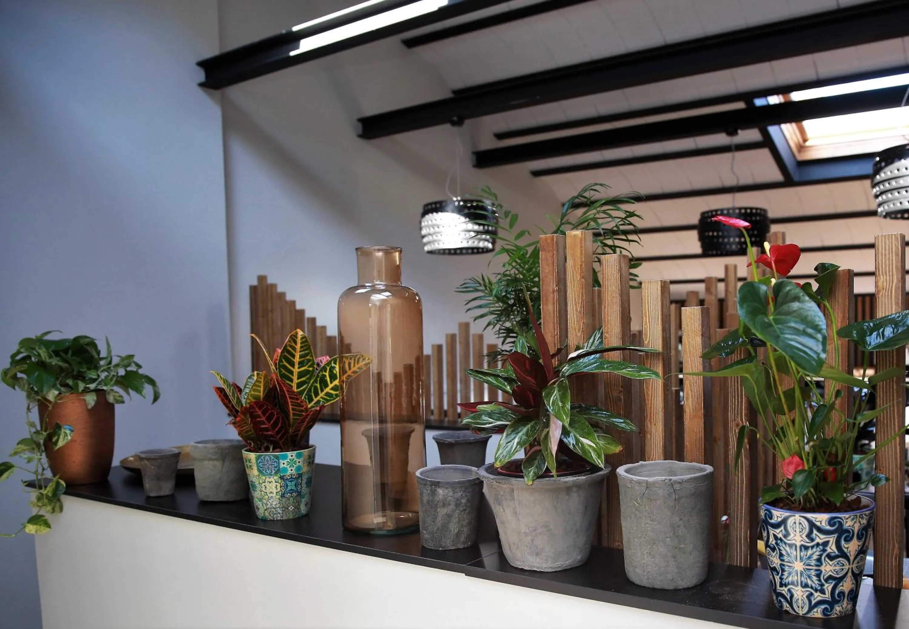 Lobby or reception in Hotel Cims de Camprodon