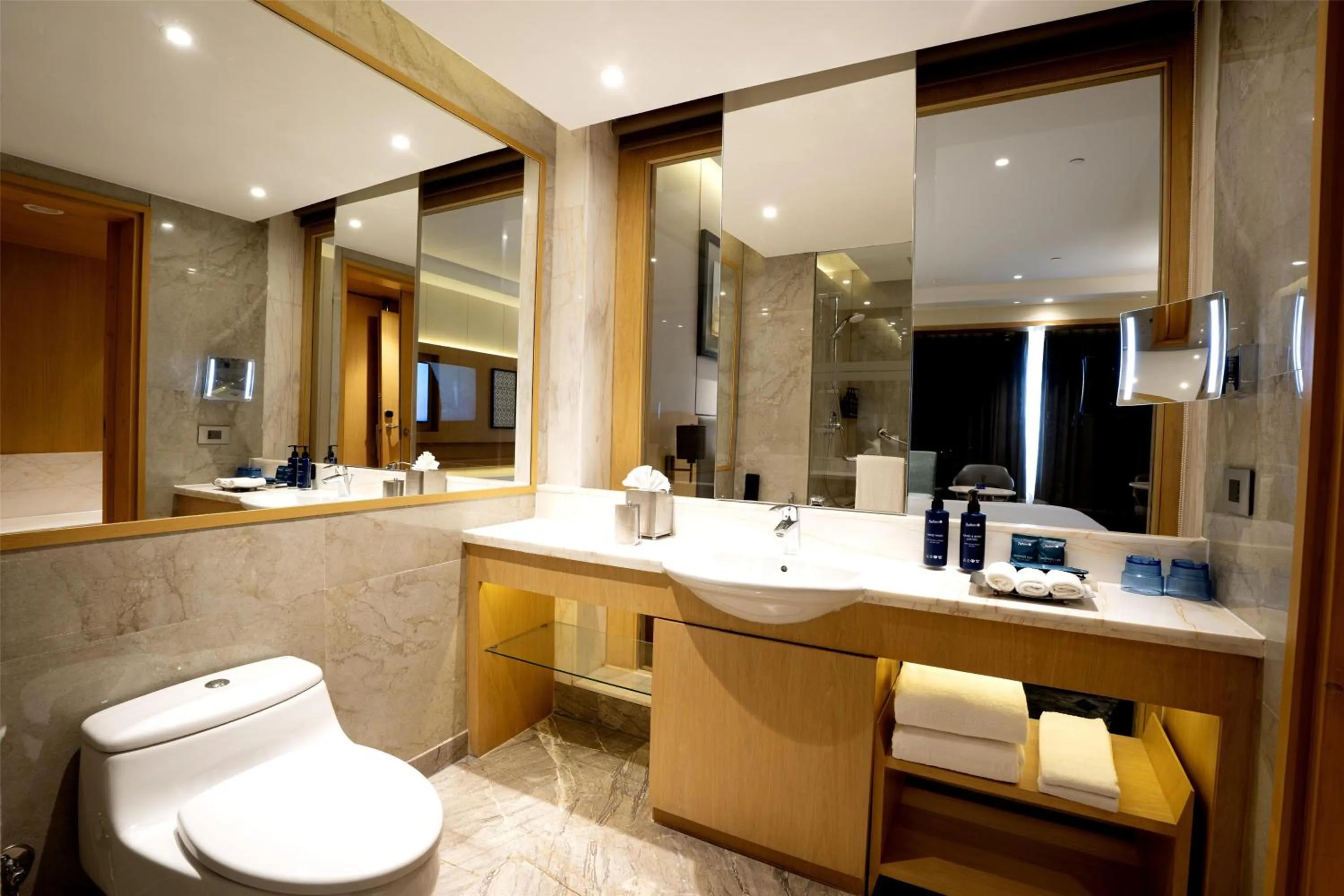 Bathroom in Radisson Blu Hotel Amritsar