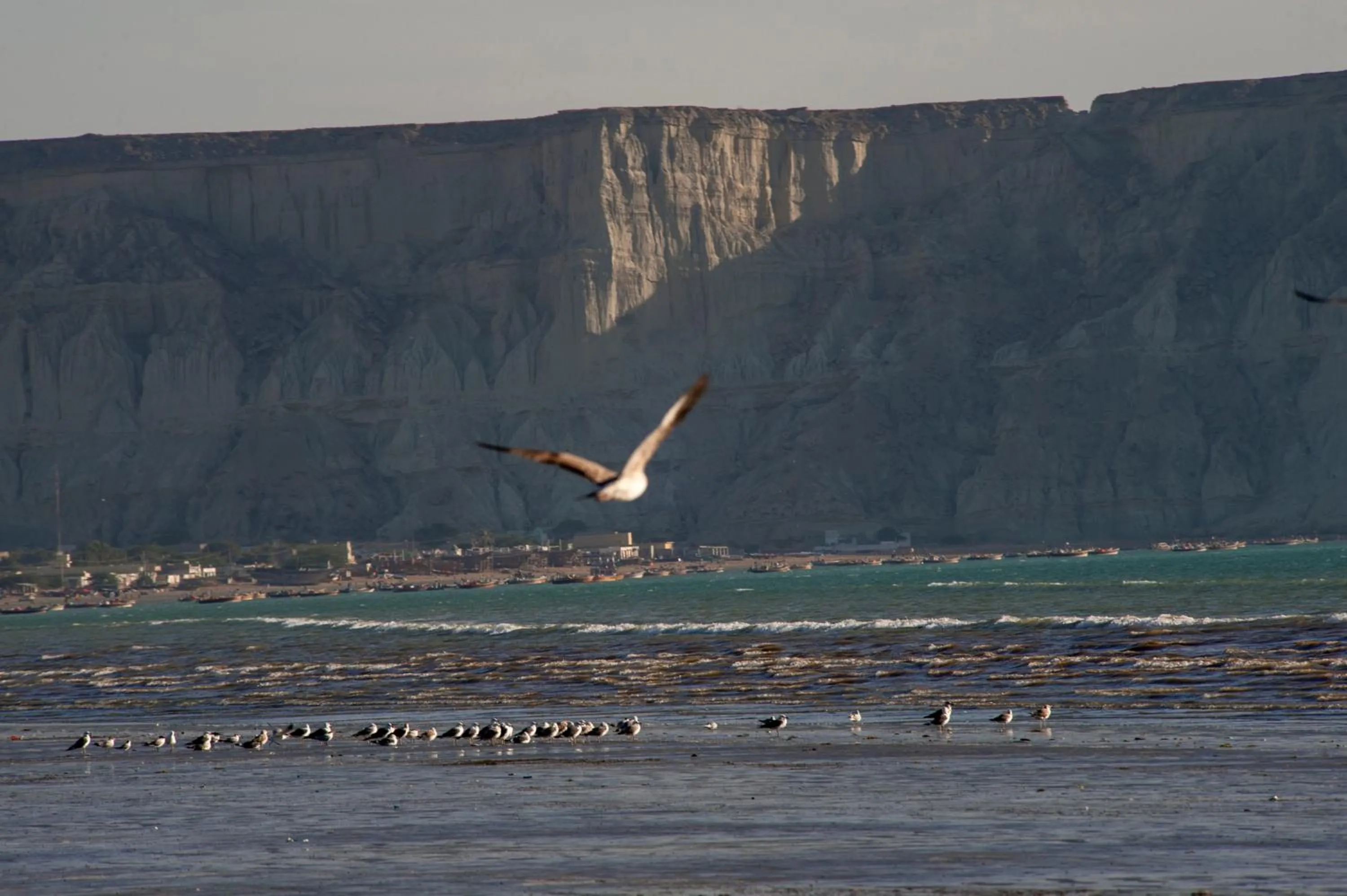 Natural landscape in Zaver Pearl Continental, Gwadar