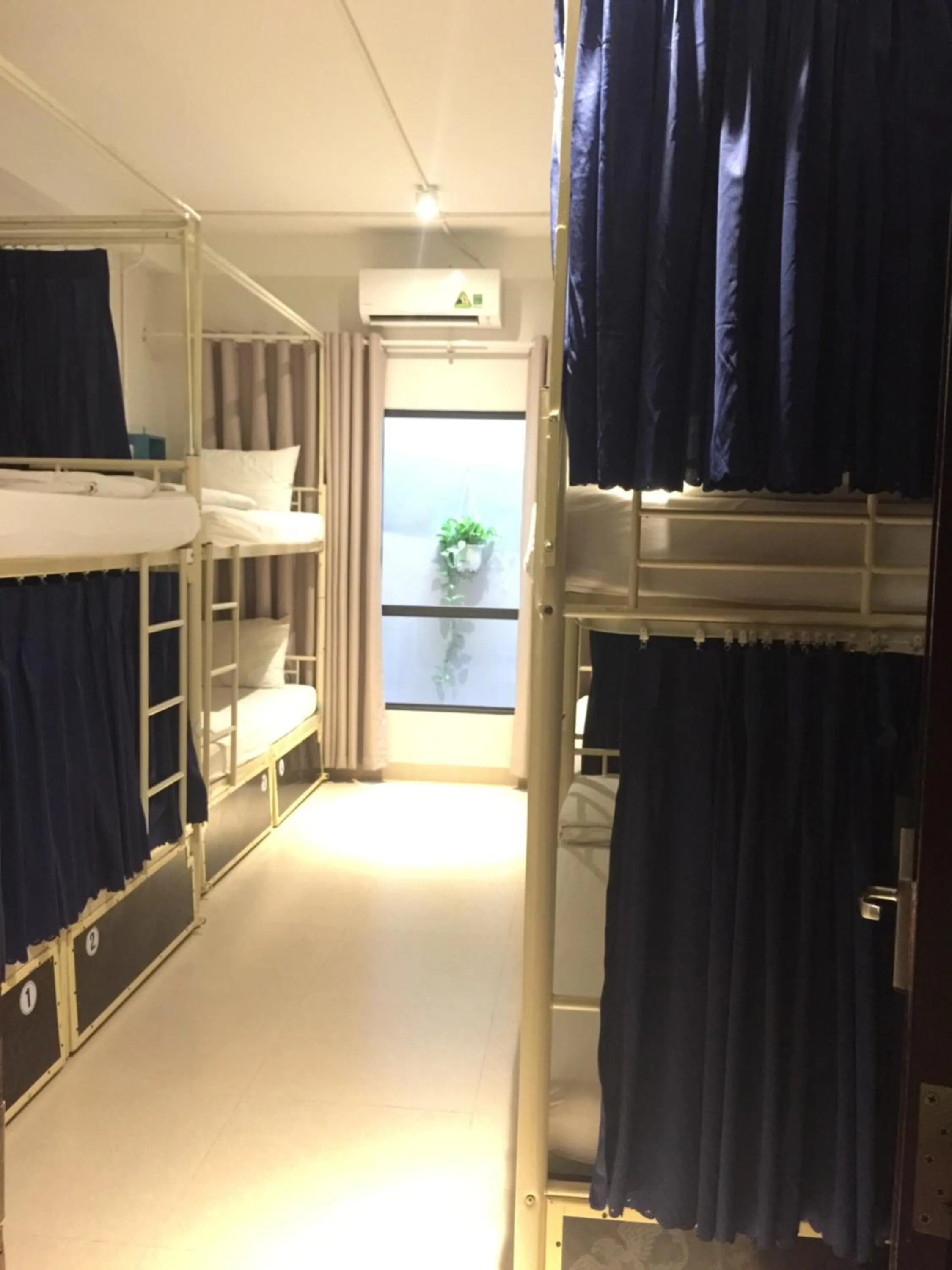 Backhome Hostel & Bar