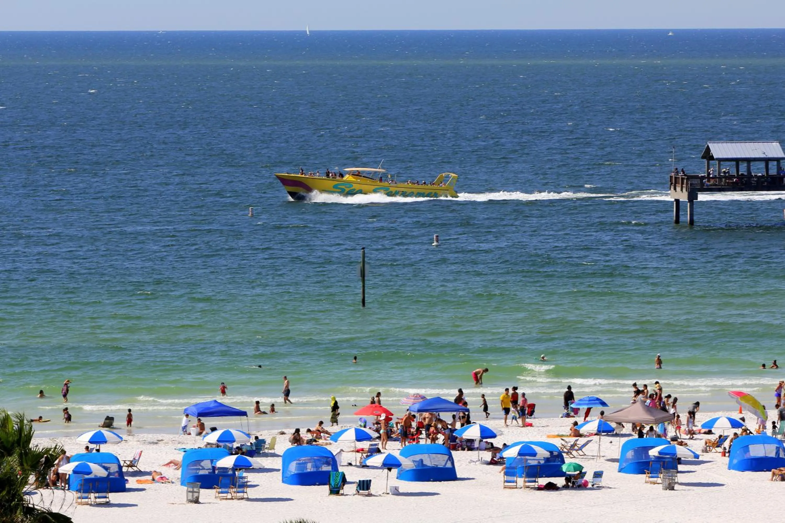Beach in Pier House 60 Clearwater Beach Marina Hotel