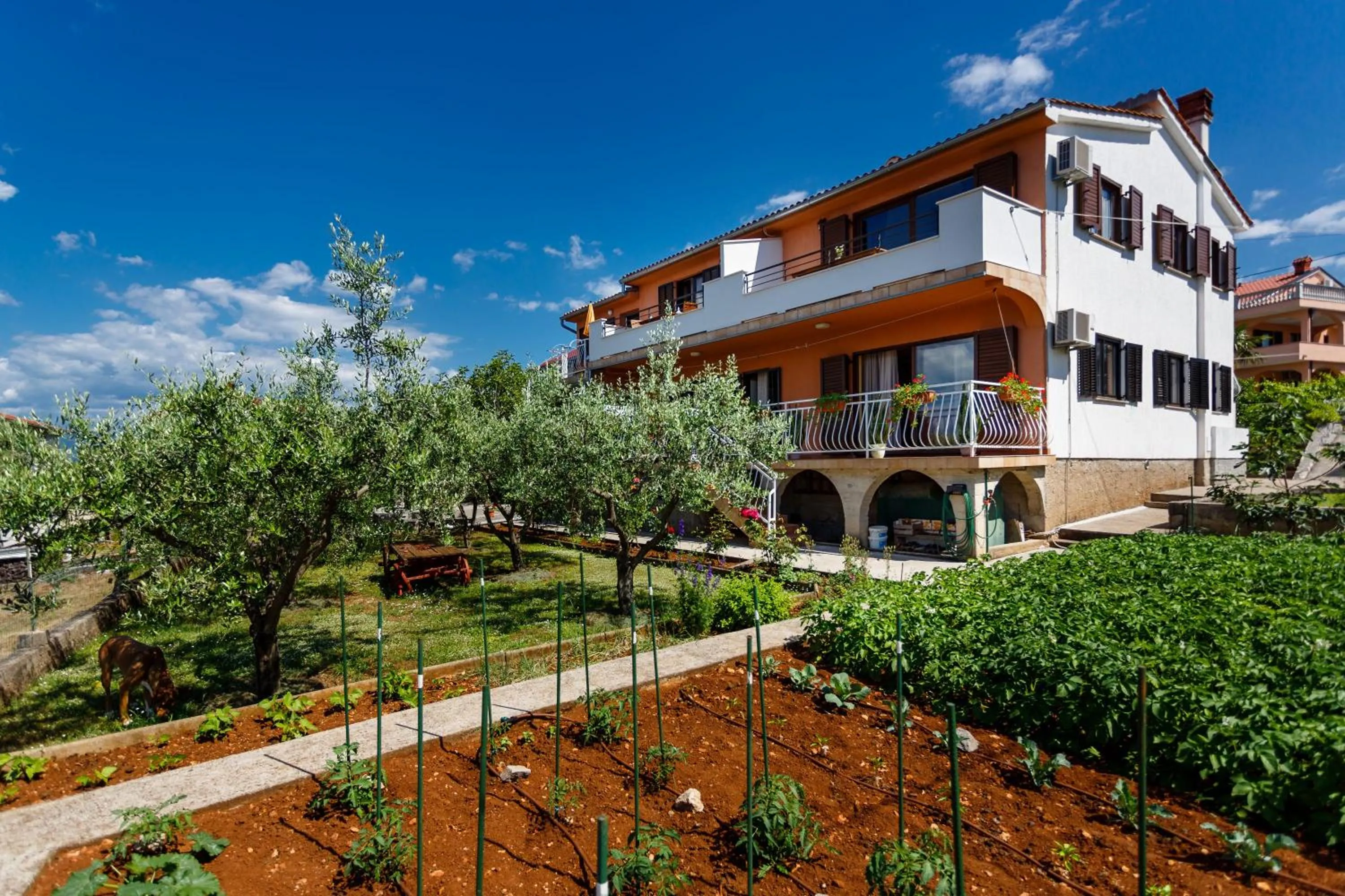Property building in Apartment Karabaic by El-Pi Tours