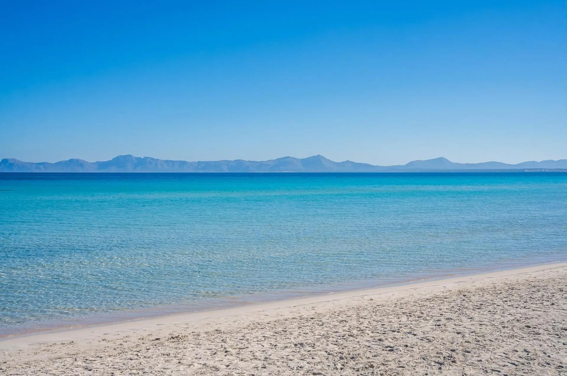 View (from property/room) in Ideal Property Mallorca - Blue Palm Beach