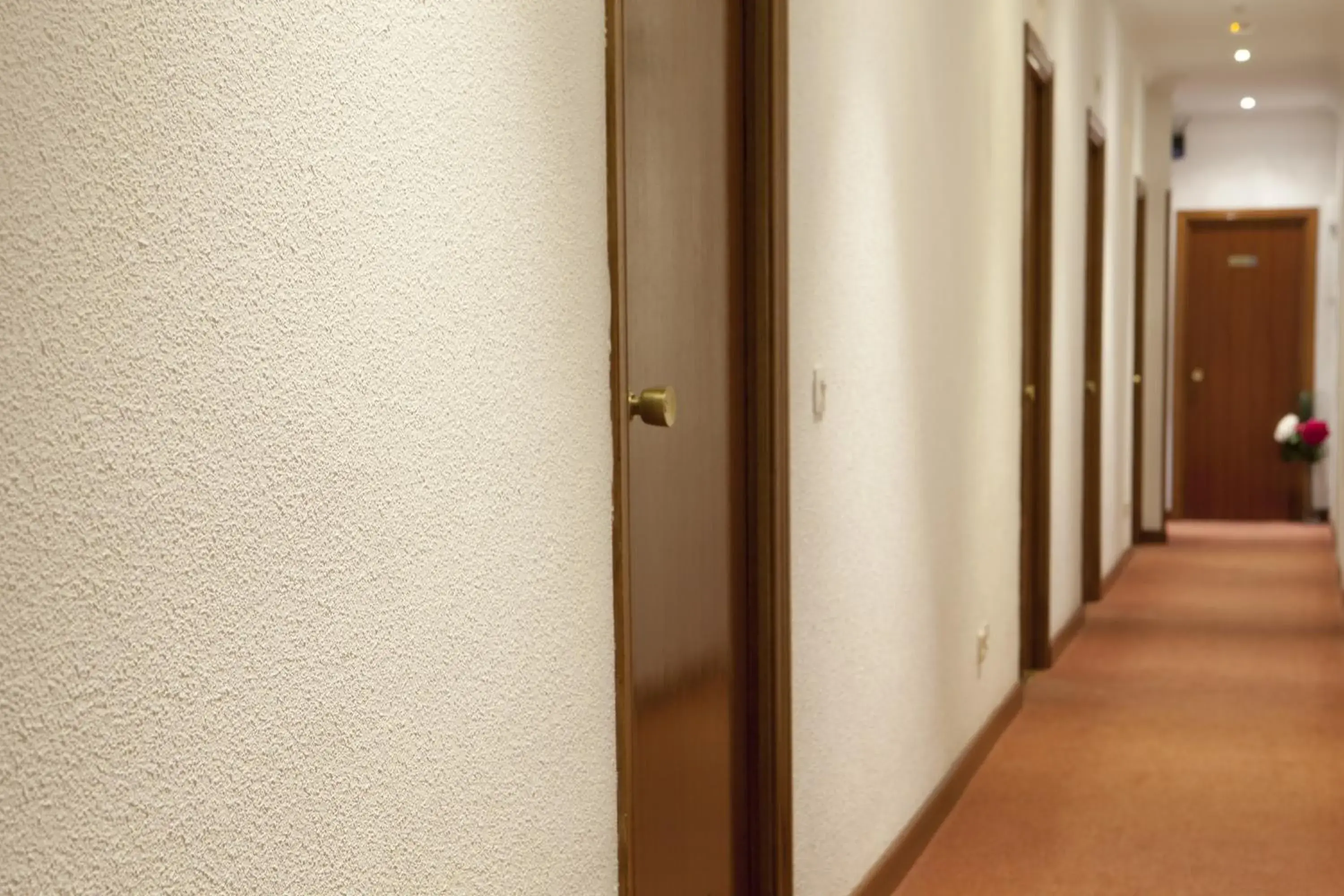 Other in Hostal Los Alpes Other in Hostal Los Alpes