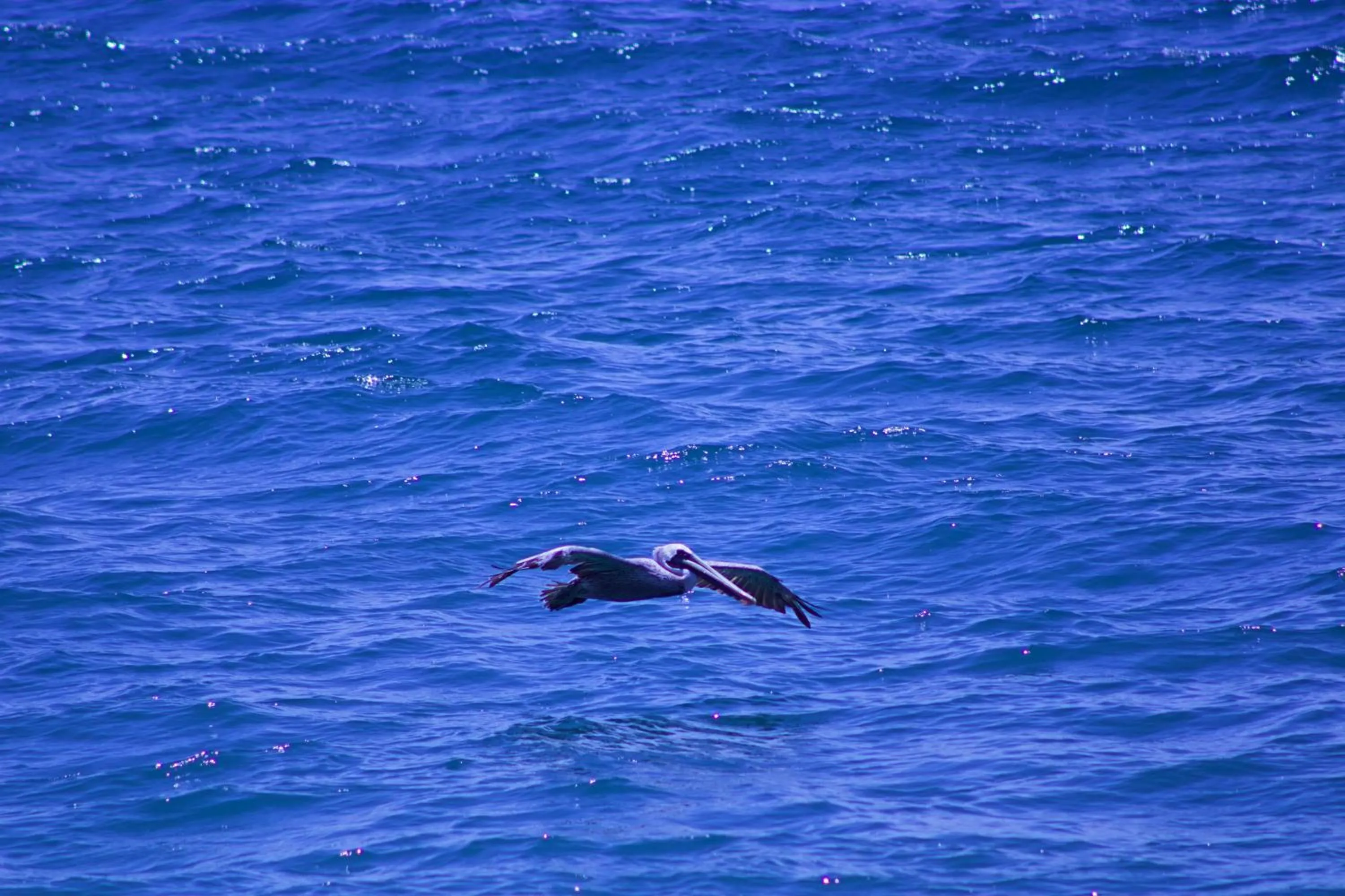 Natural landscape in Hotel Star