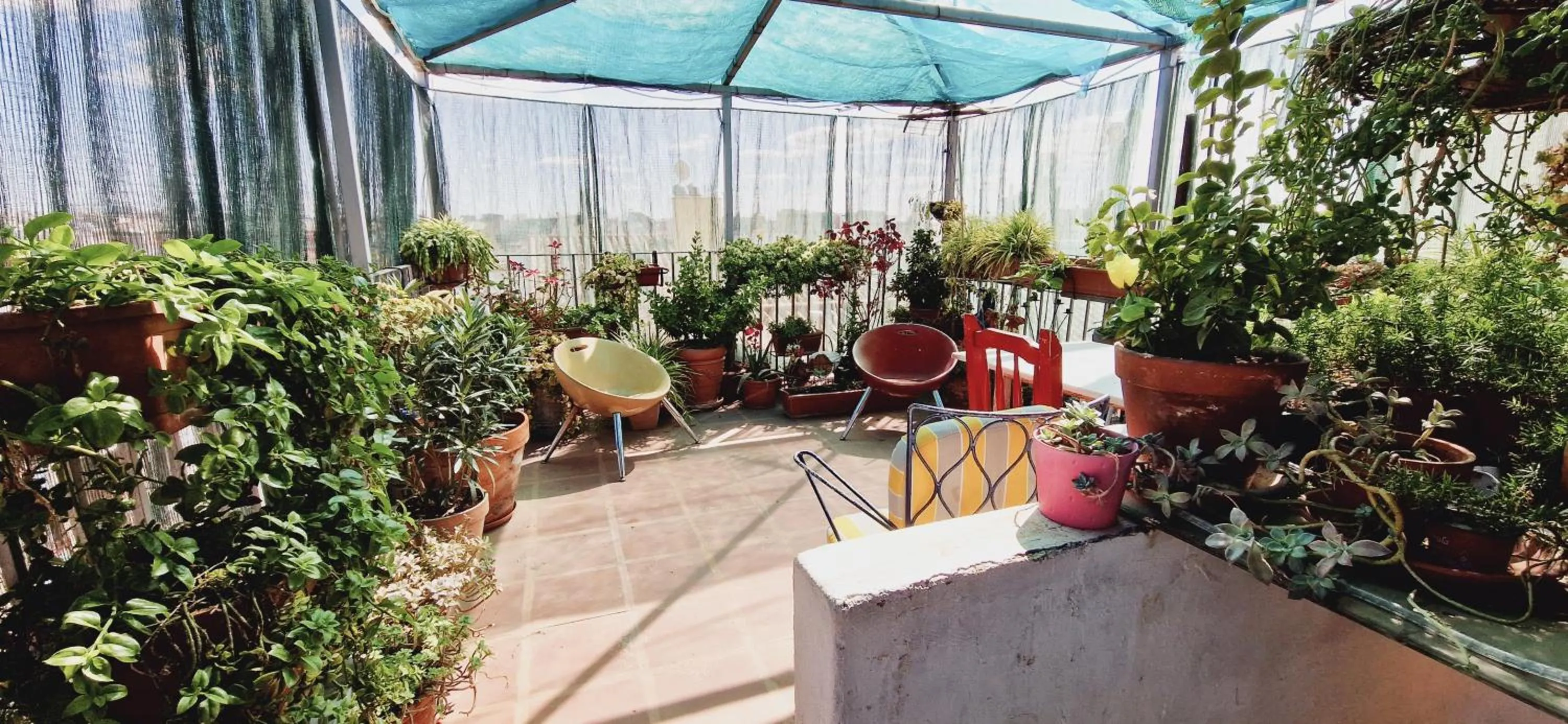 Day in Casa de Huespedes Dolce Vita