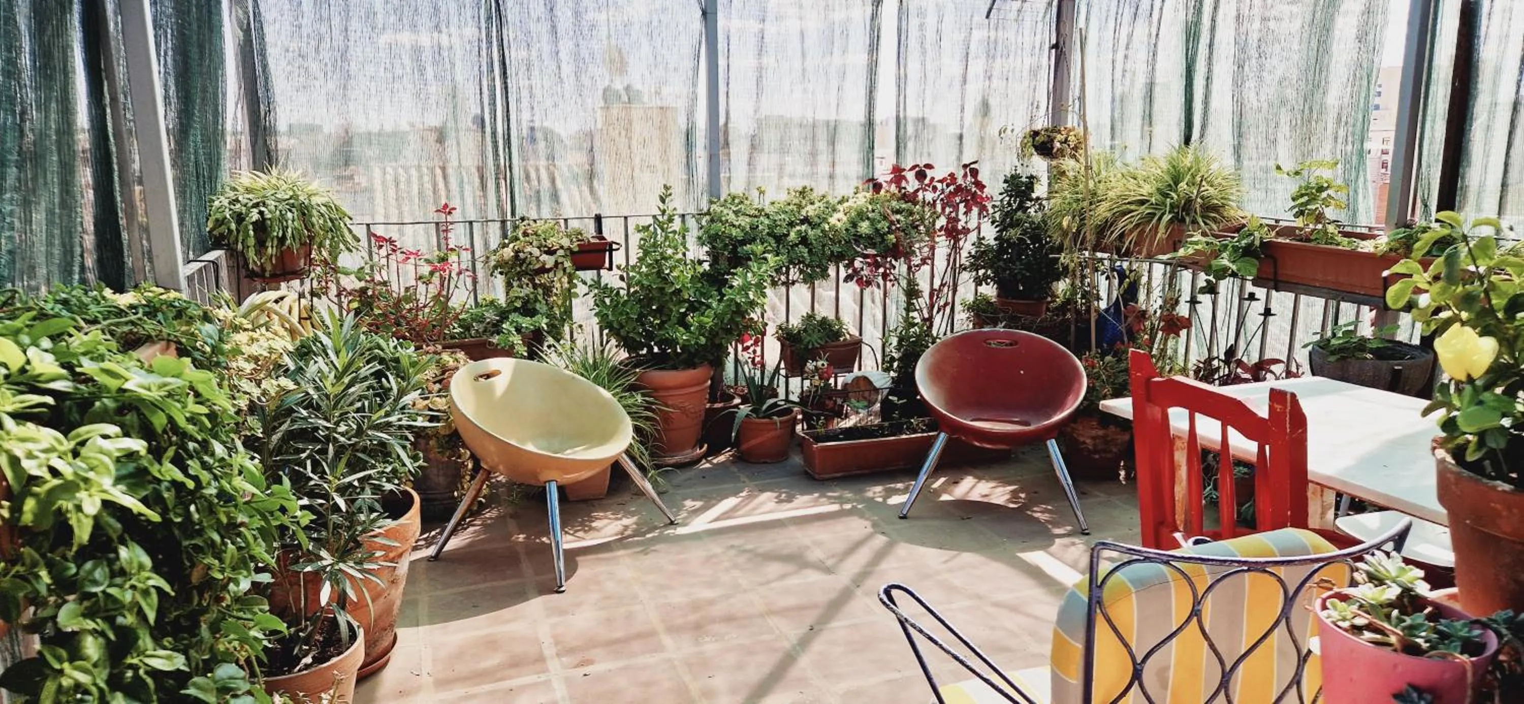 Garden in Casa de Huespedes Dolce Vita