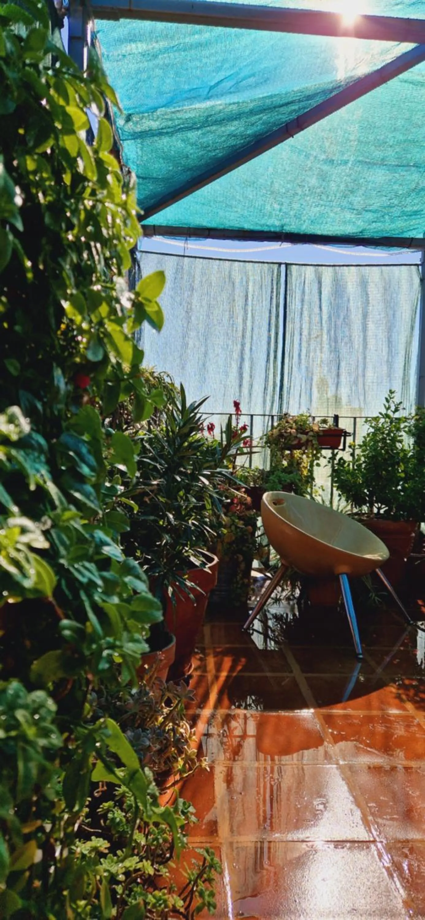 Day in Casa de Huespedes Dolce Vita