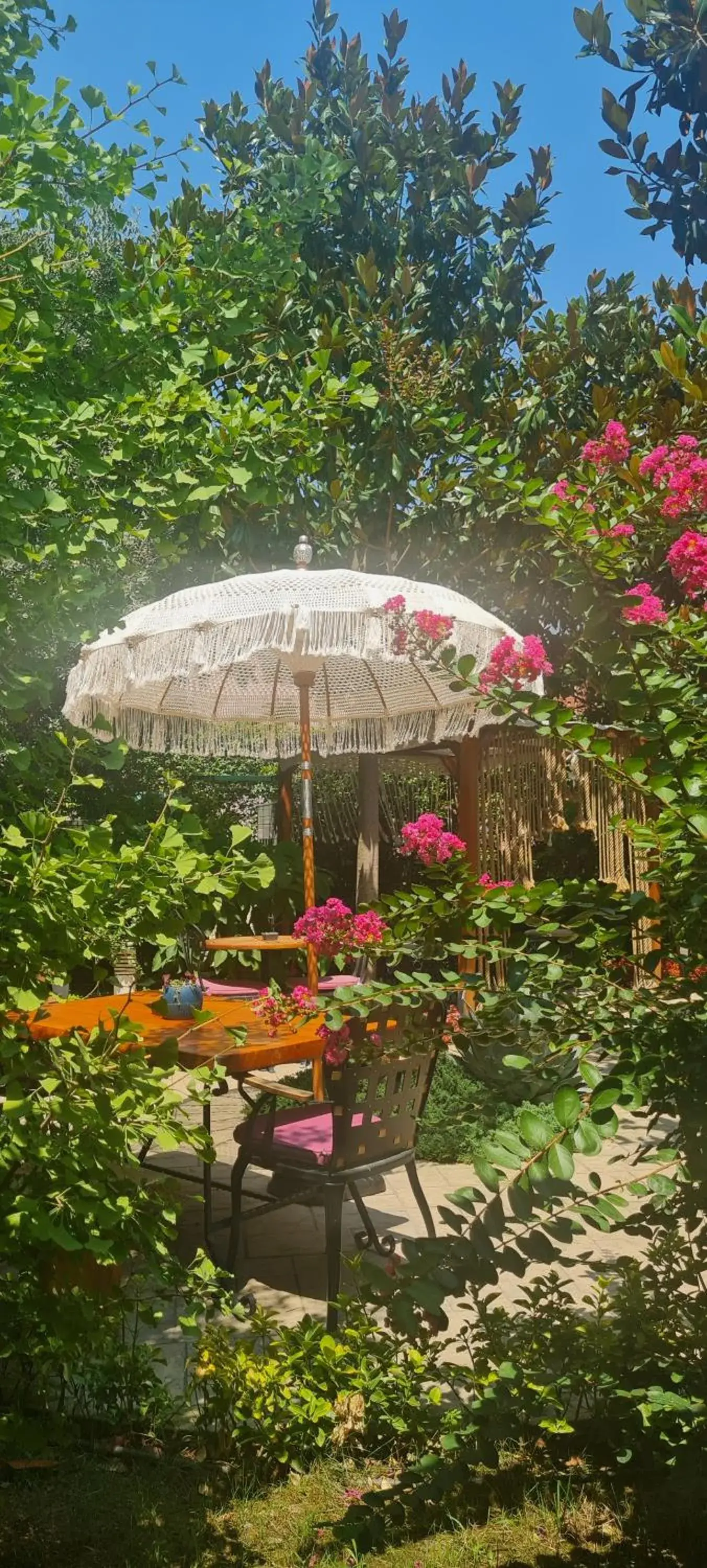 Garden view in Tuzla Garden Hotel & Spa Garden view in Tuzla Garden Hotel & Spa