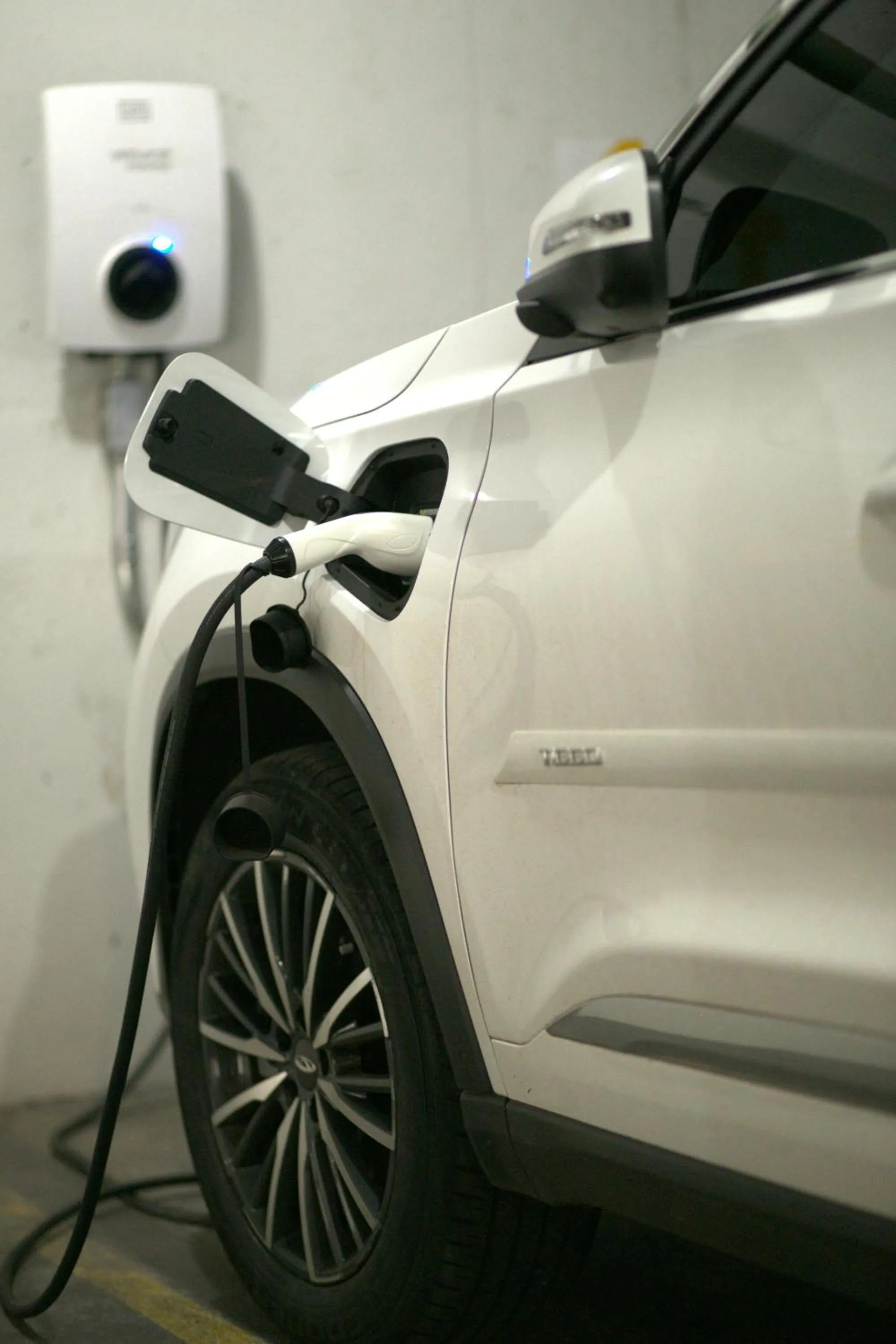 Other in Tower Franca Hotel