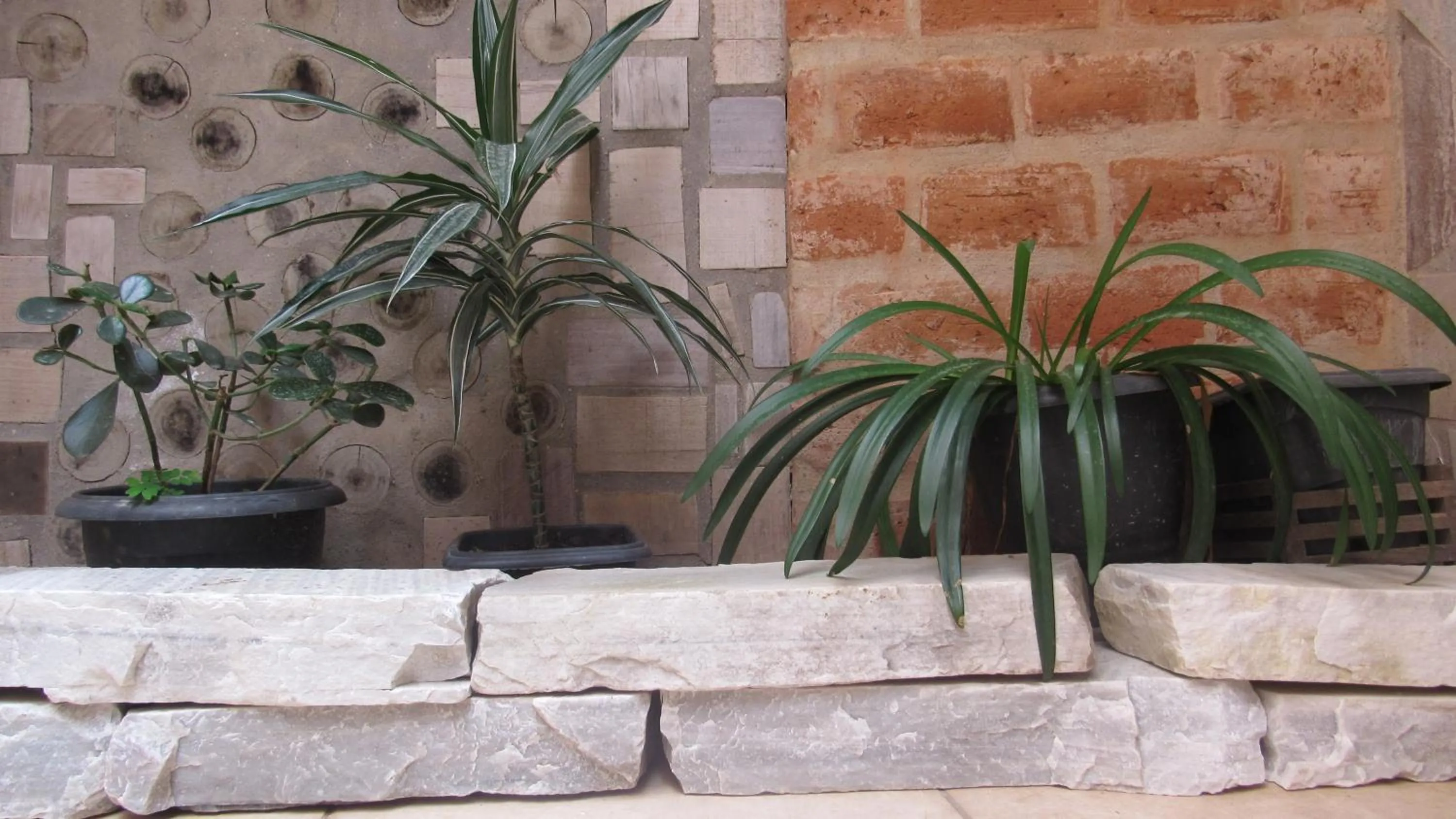 Property building in Pousada Rústica