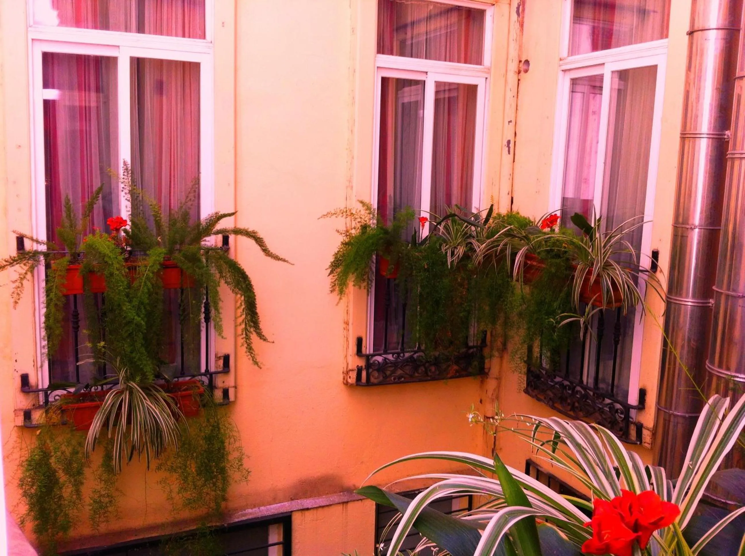 Decorative detail in Hostal La Fontana