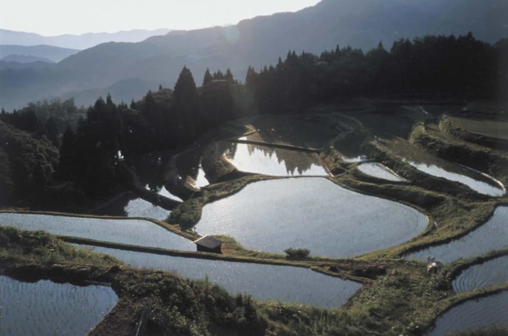 Nearby landmark in Sora no Mori Hotel Hanagori