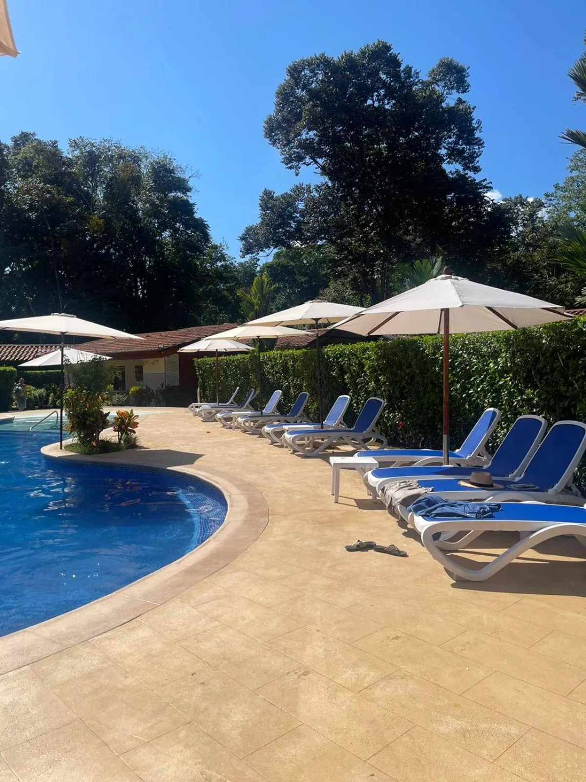 Swimming pool in La Foresta Nature Resort