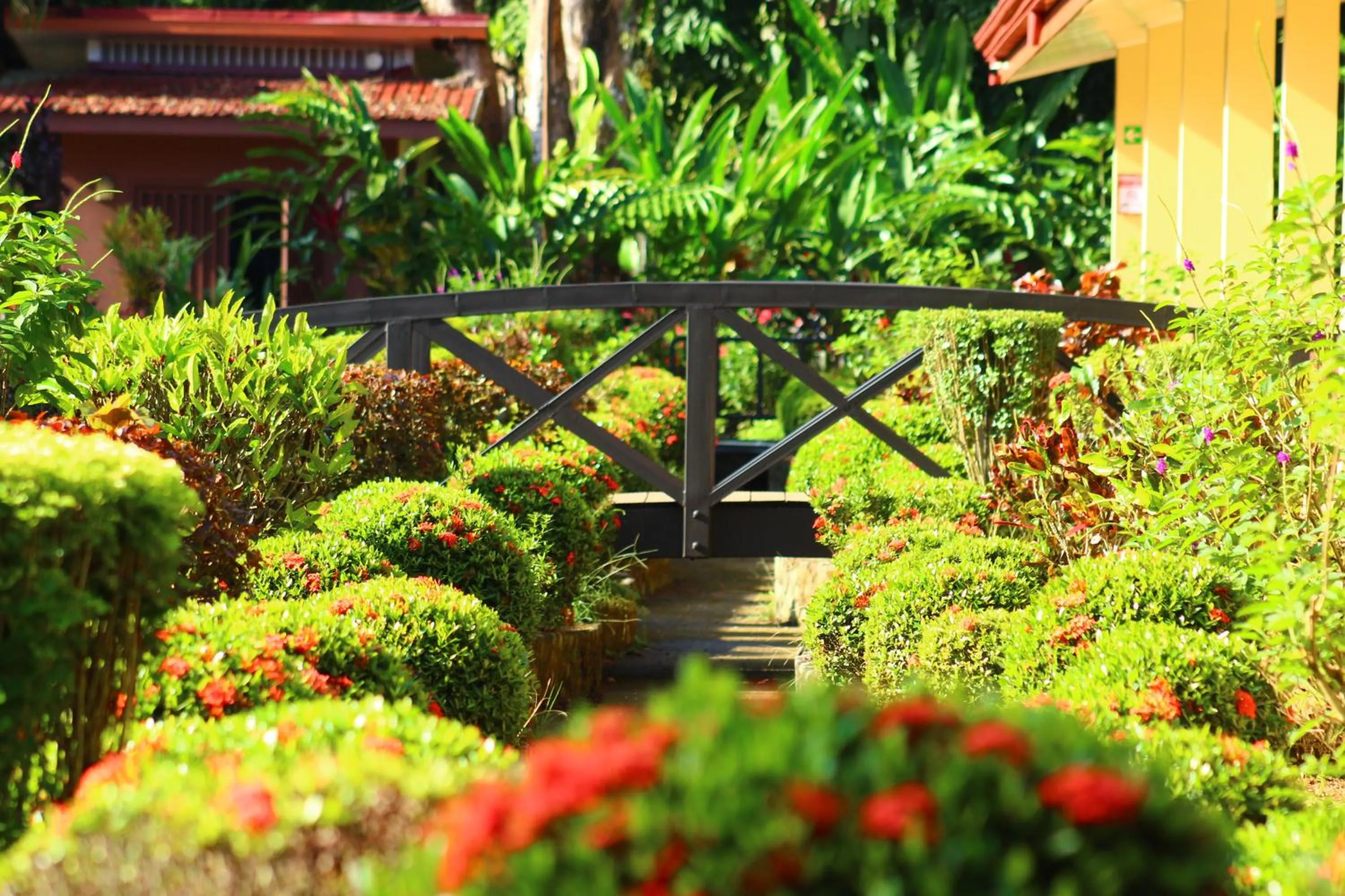 Natural landscape in La Foresta Nature Resort