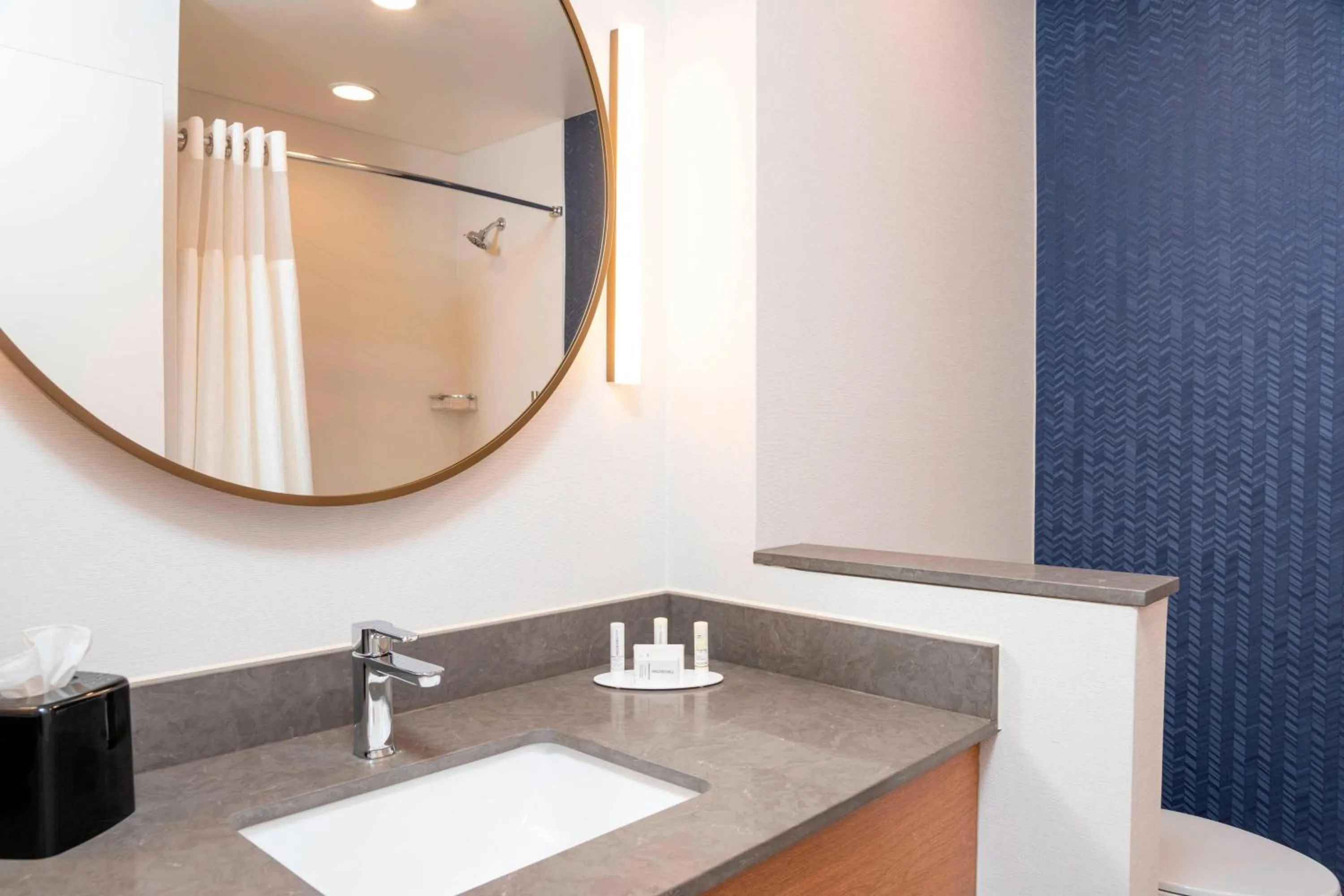 Bathroom in Fairfield Inn & Suites by Marriott Fair Oaks Farms