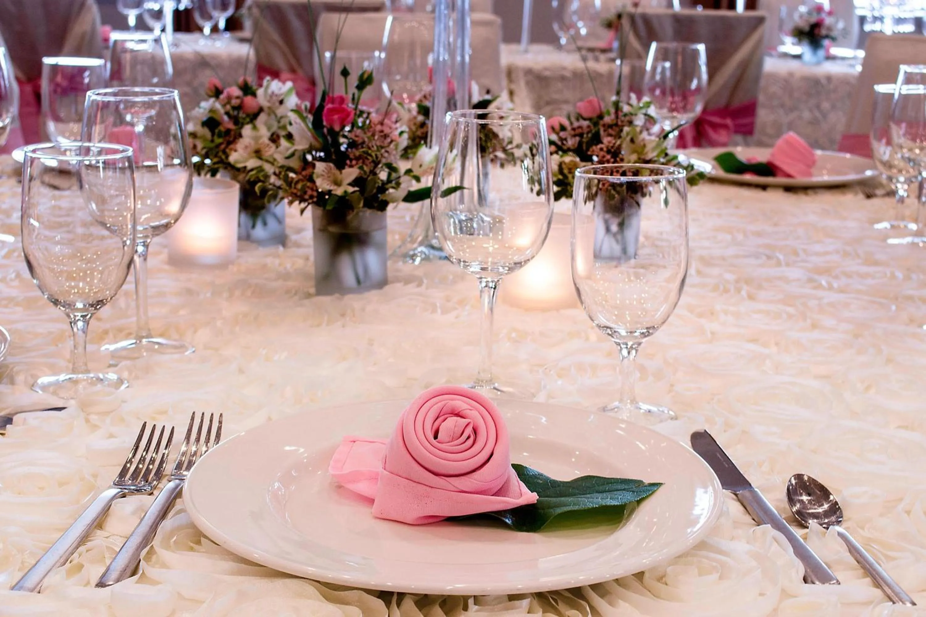 Banquet/Function facilities in Fairfield Inn & Suites by Marriott Fair Oaks Farms