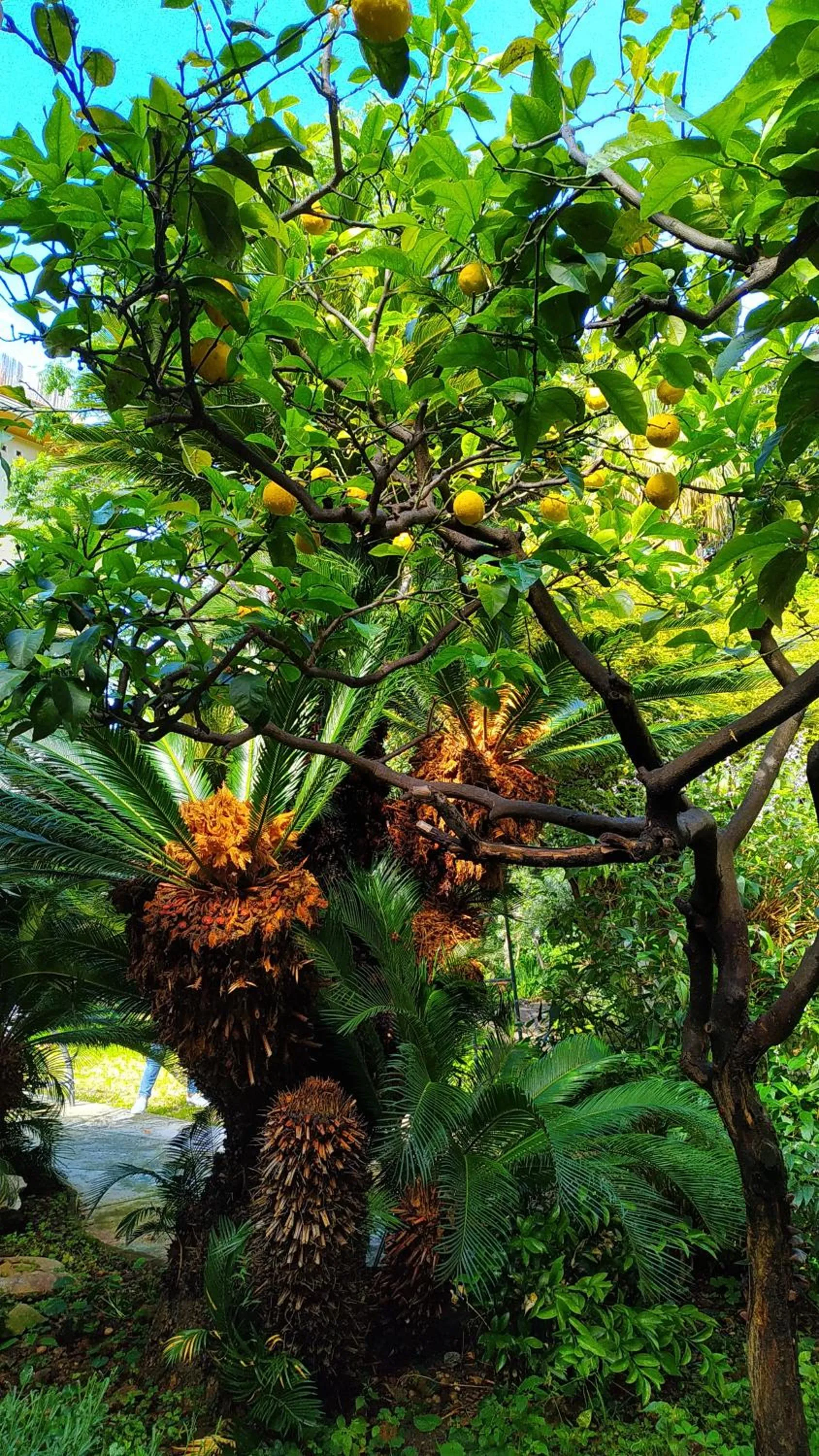 Property building in Hotel Lucciola