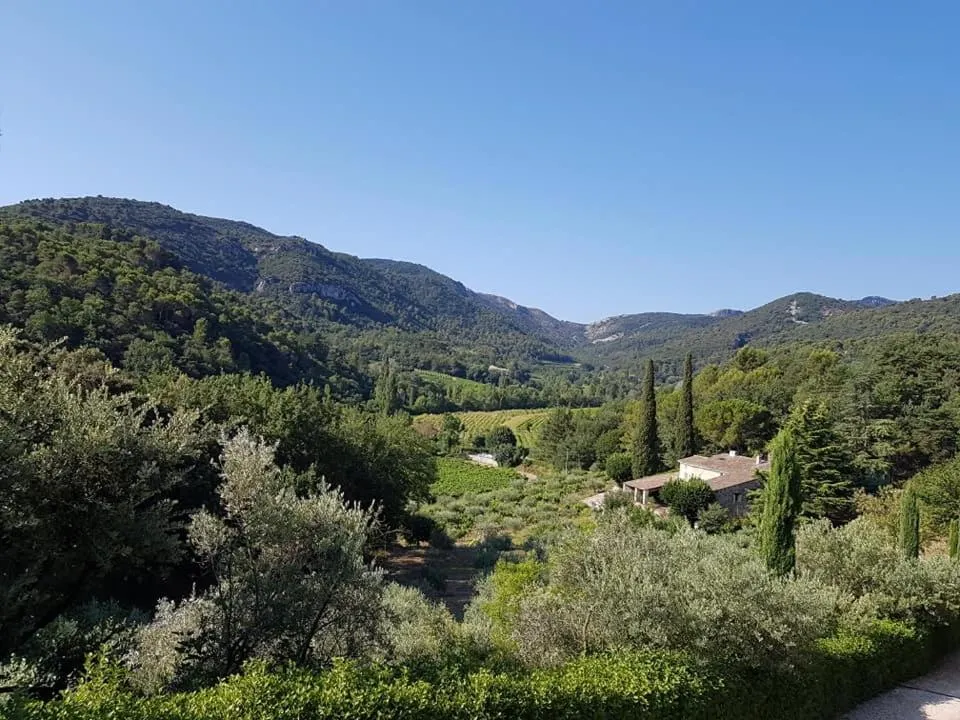 Garden in Les Logis de Paban