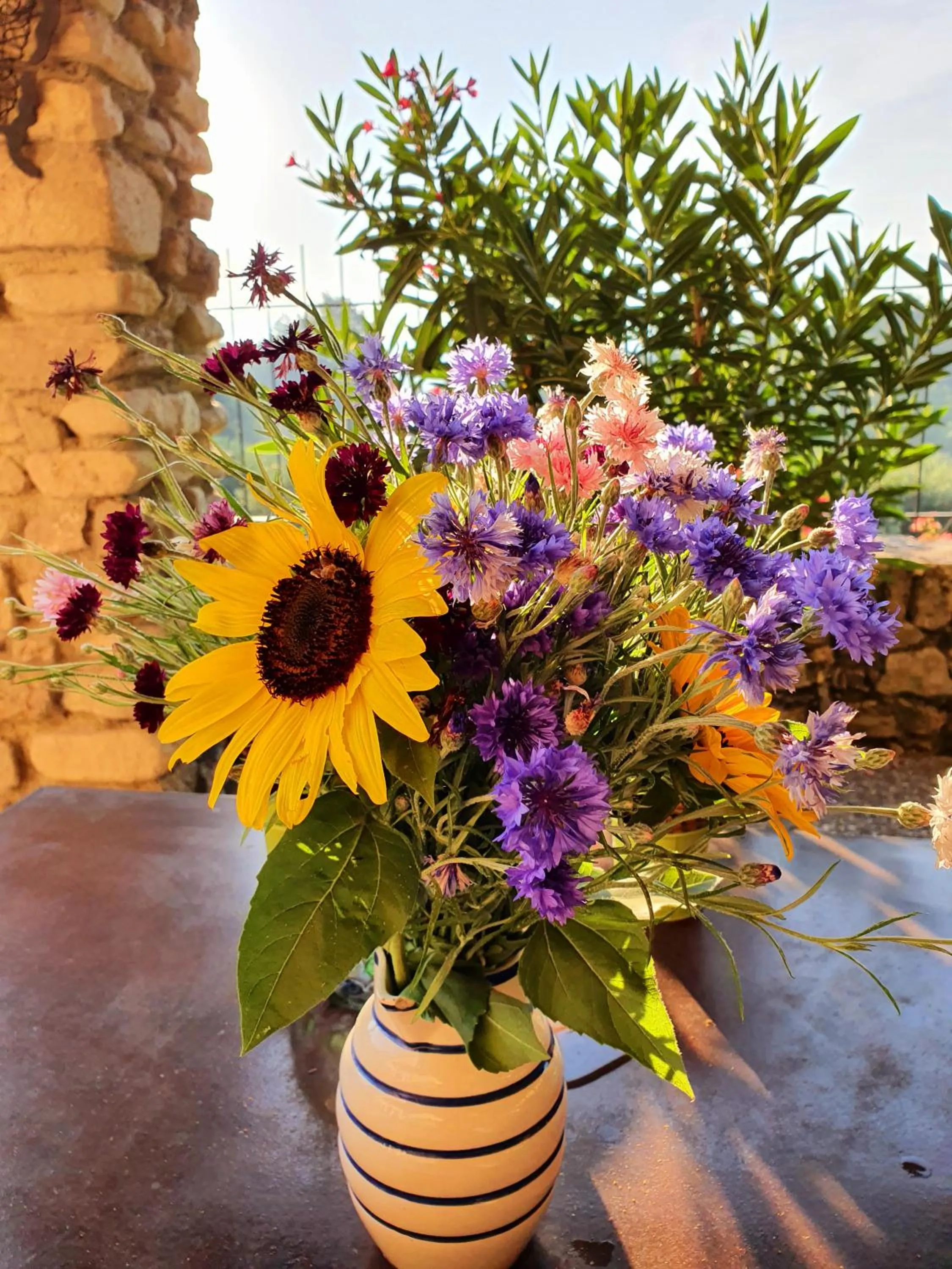 Sunrise in Les Logis de Paban