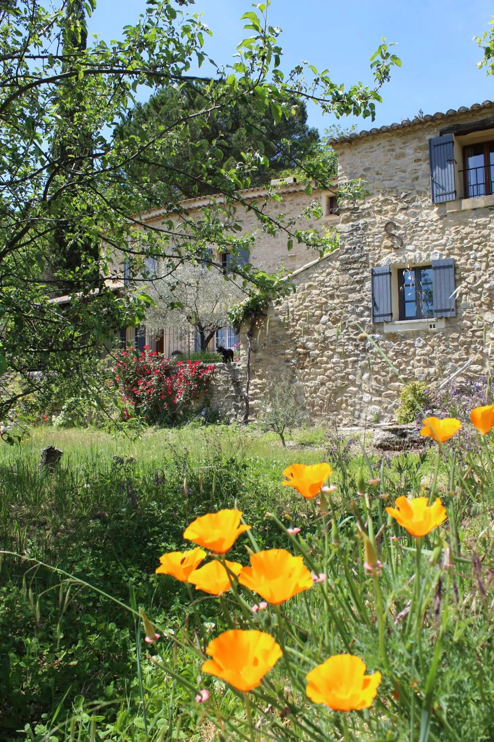Garden in Les Logis de Paban