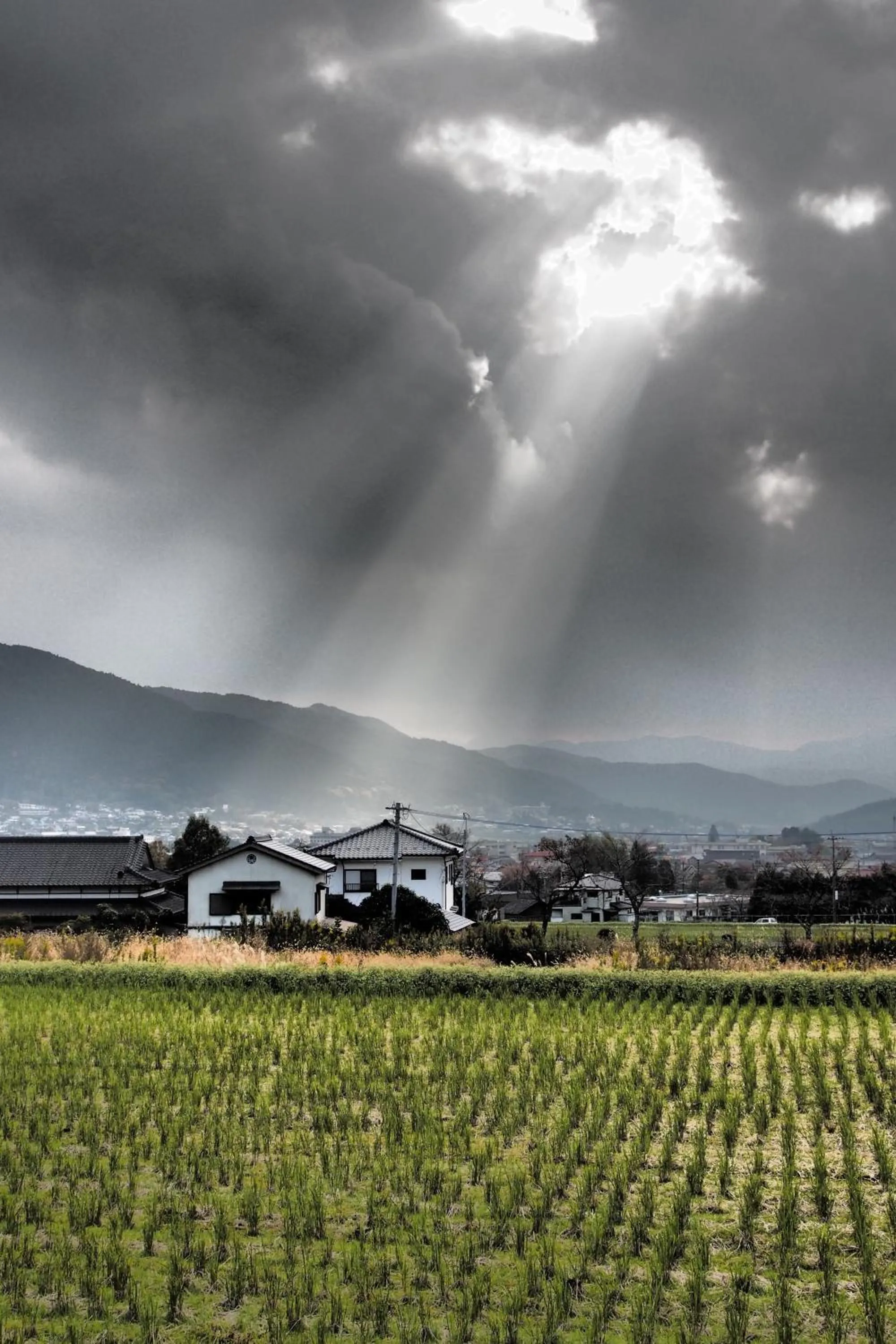 Area and facilities in Yufuin Country Road Youth Hostel