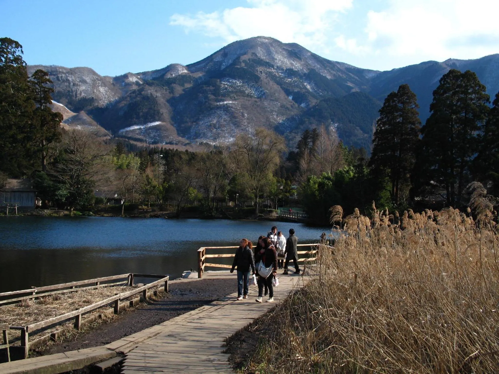 Area and facilities in Yufuin Country Road Youth Hostel