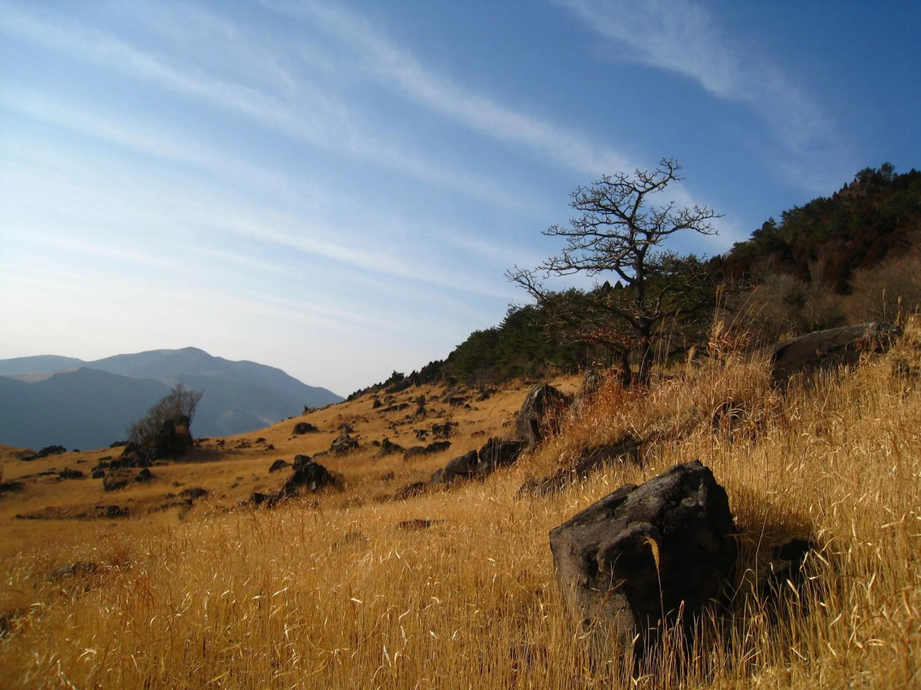 Area and facilities in Yufuin Country Road Youth Hostel