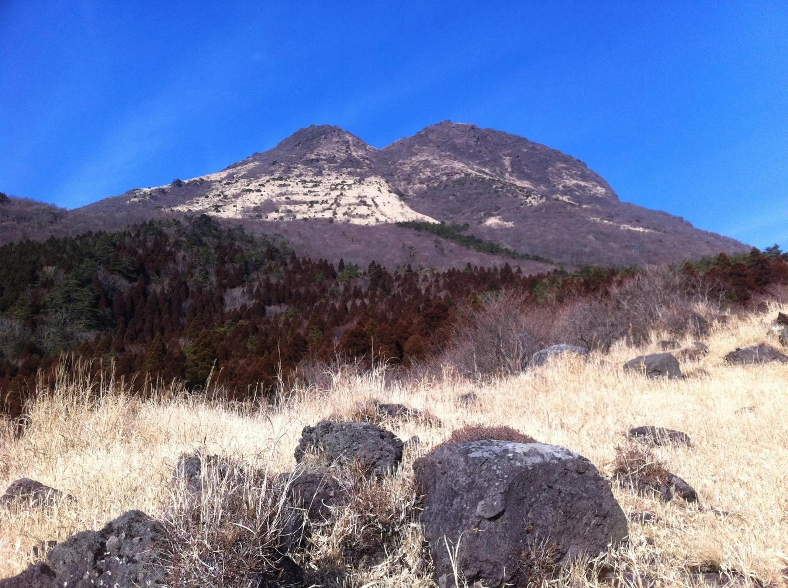 Area and facilities in Yufuin Country Road Youth Hostel