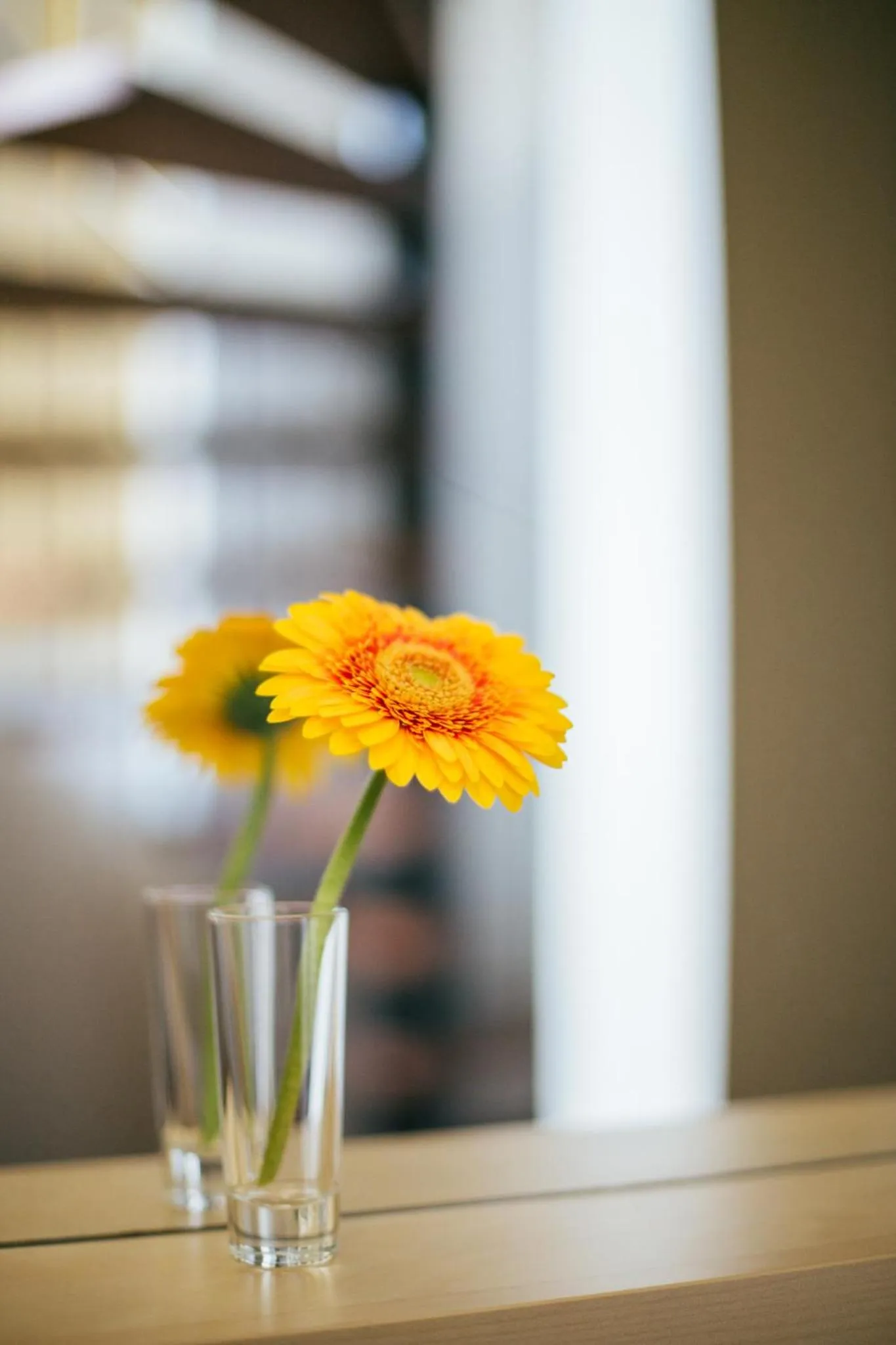 Decorative detail in Kuldigas Metropole