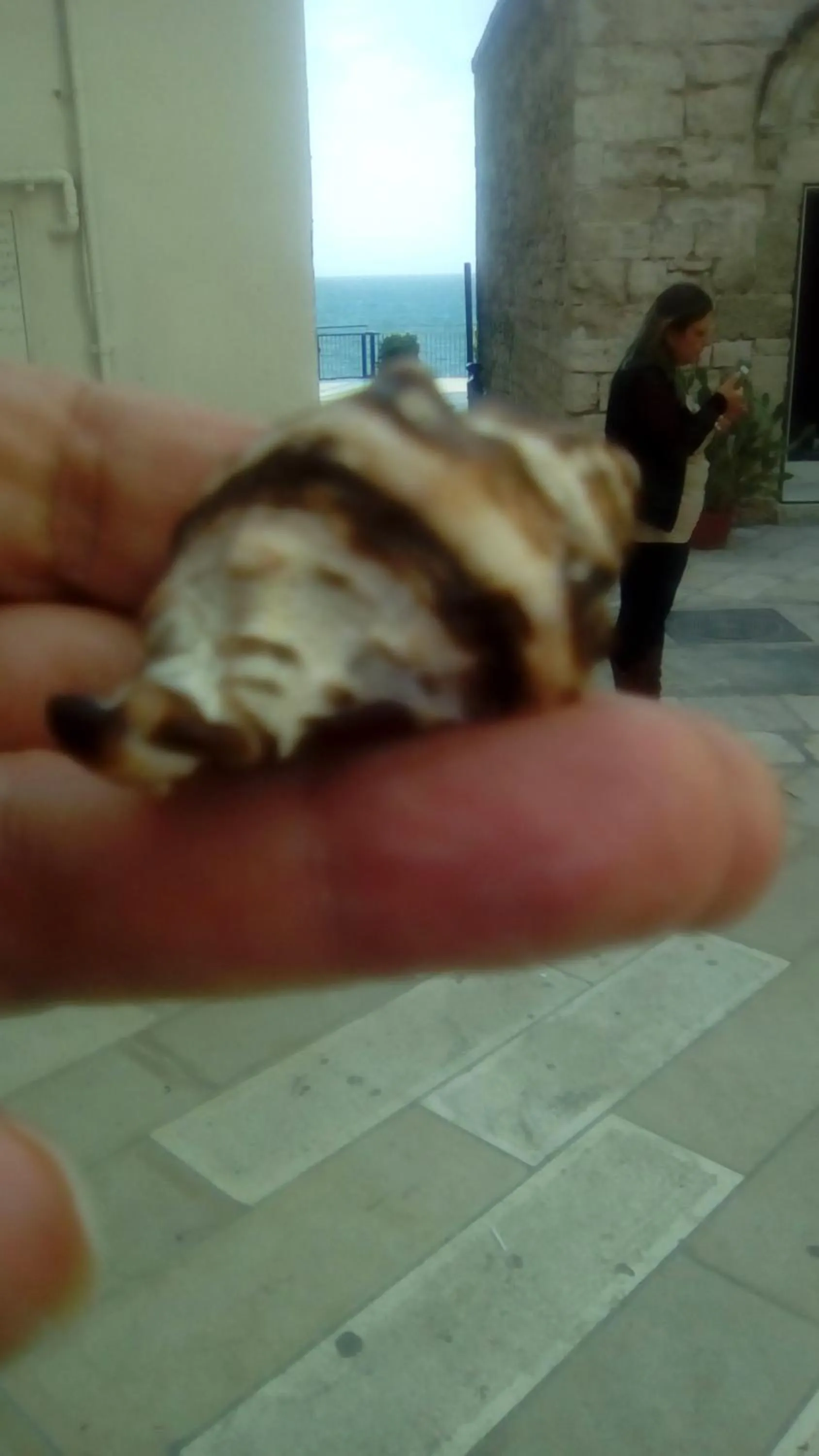 Sea view in Tra le Mura