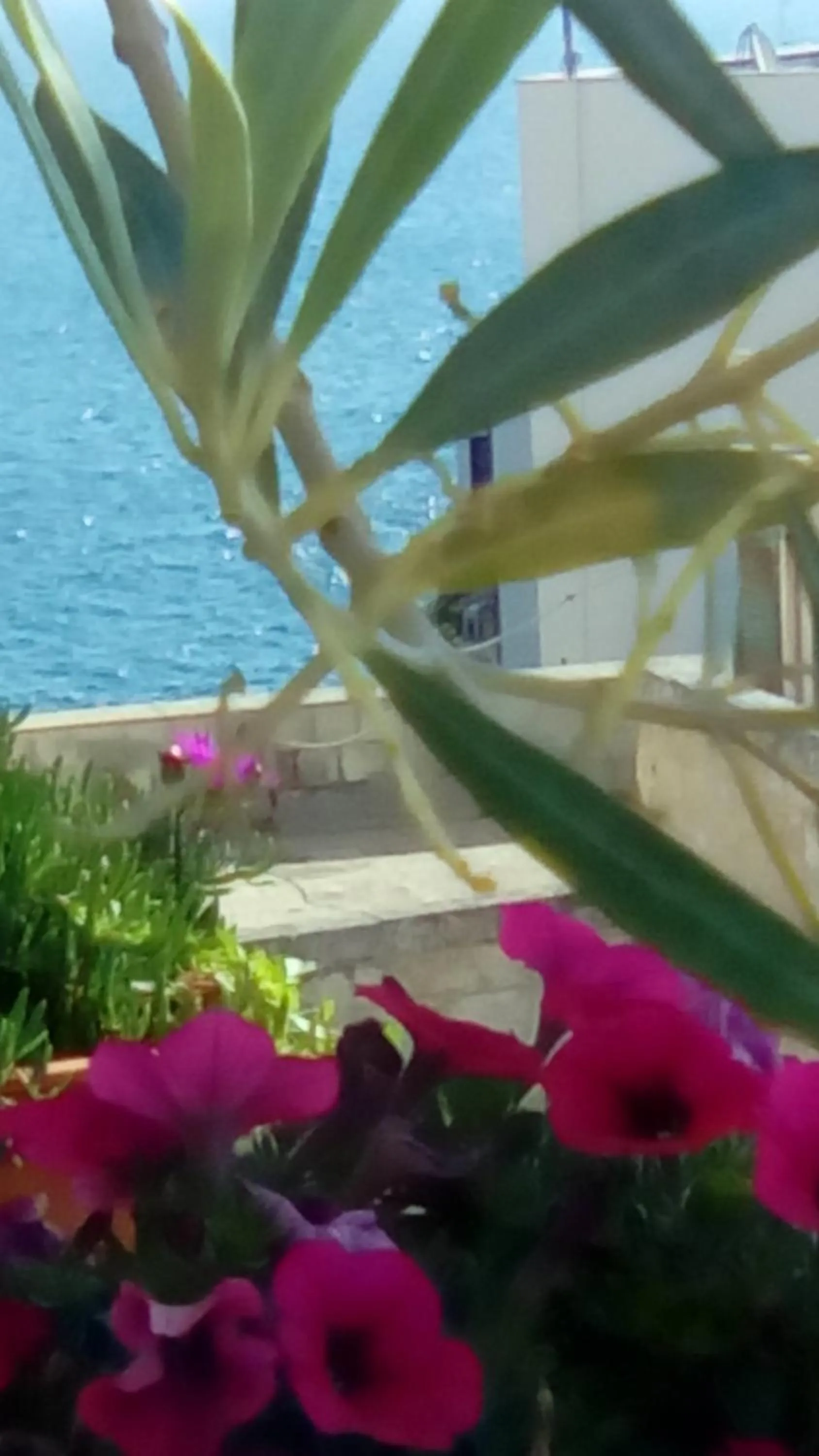 Sea view in Tra le Mura