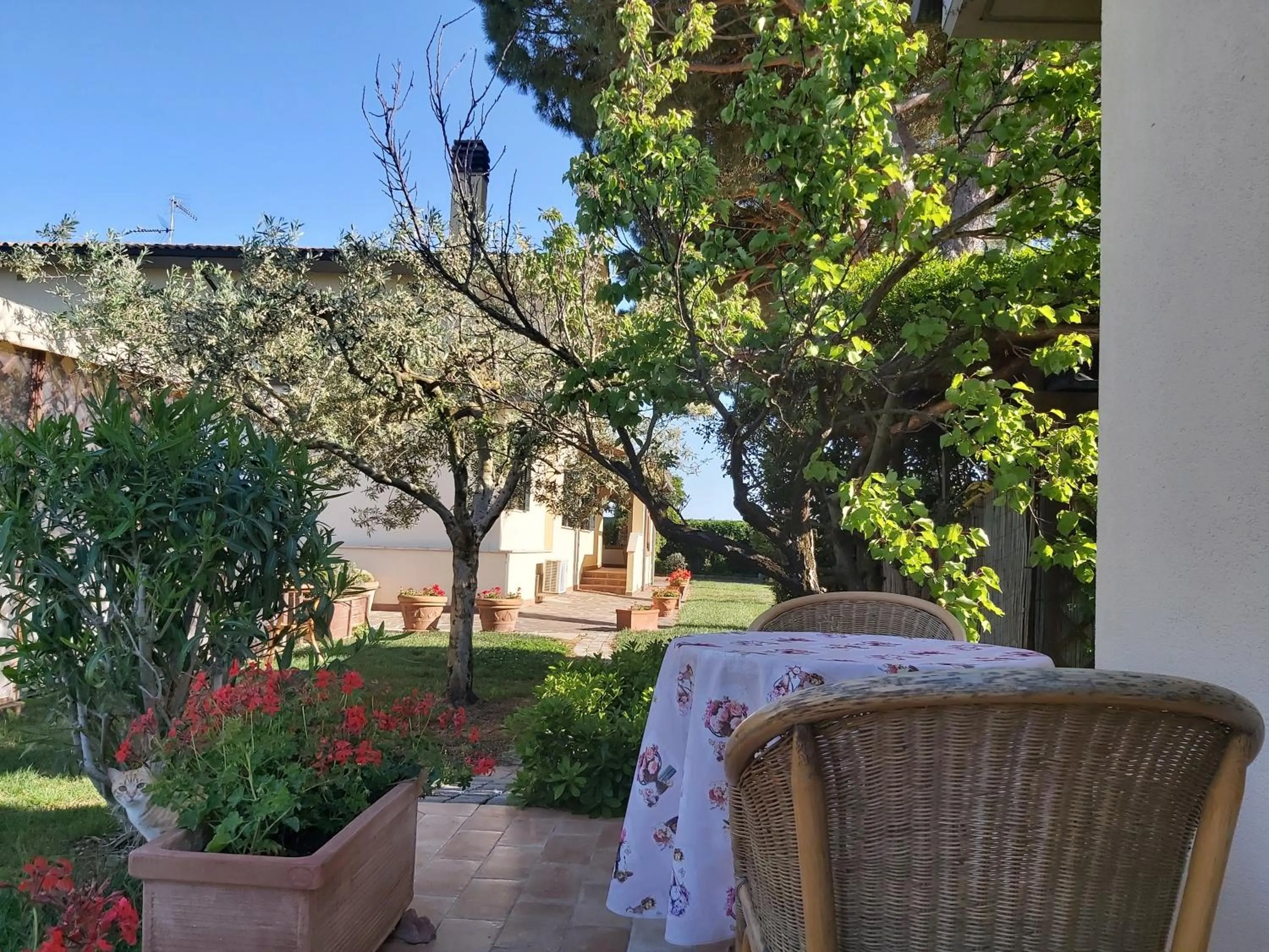 Patio in Agriturismo - B&B L'Acquacotta