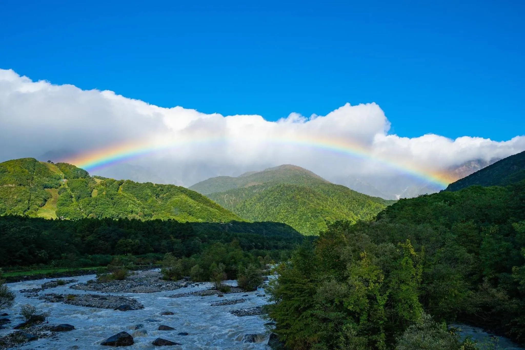 Natural landscape in Shakespeare Hotel