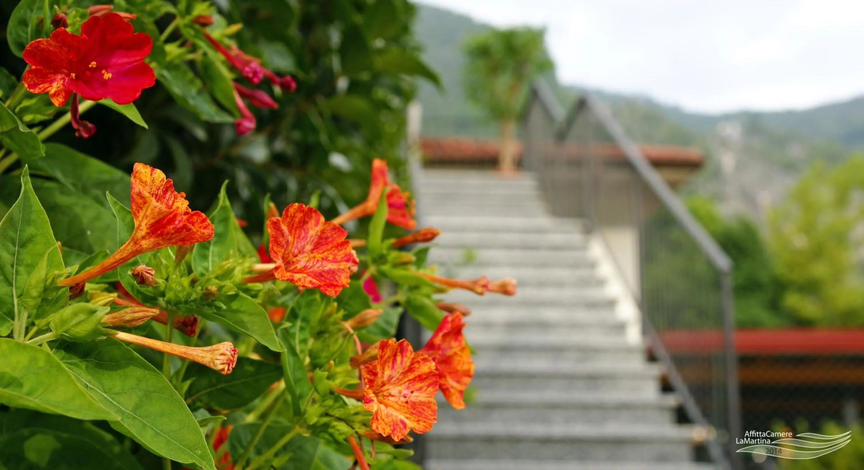 Decorative detail in Affittacamere La Martina