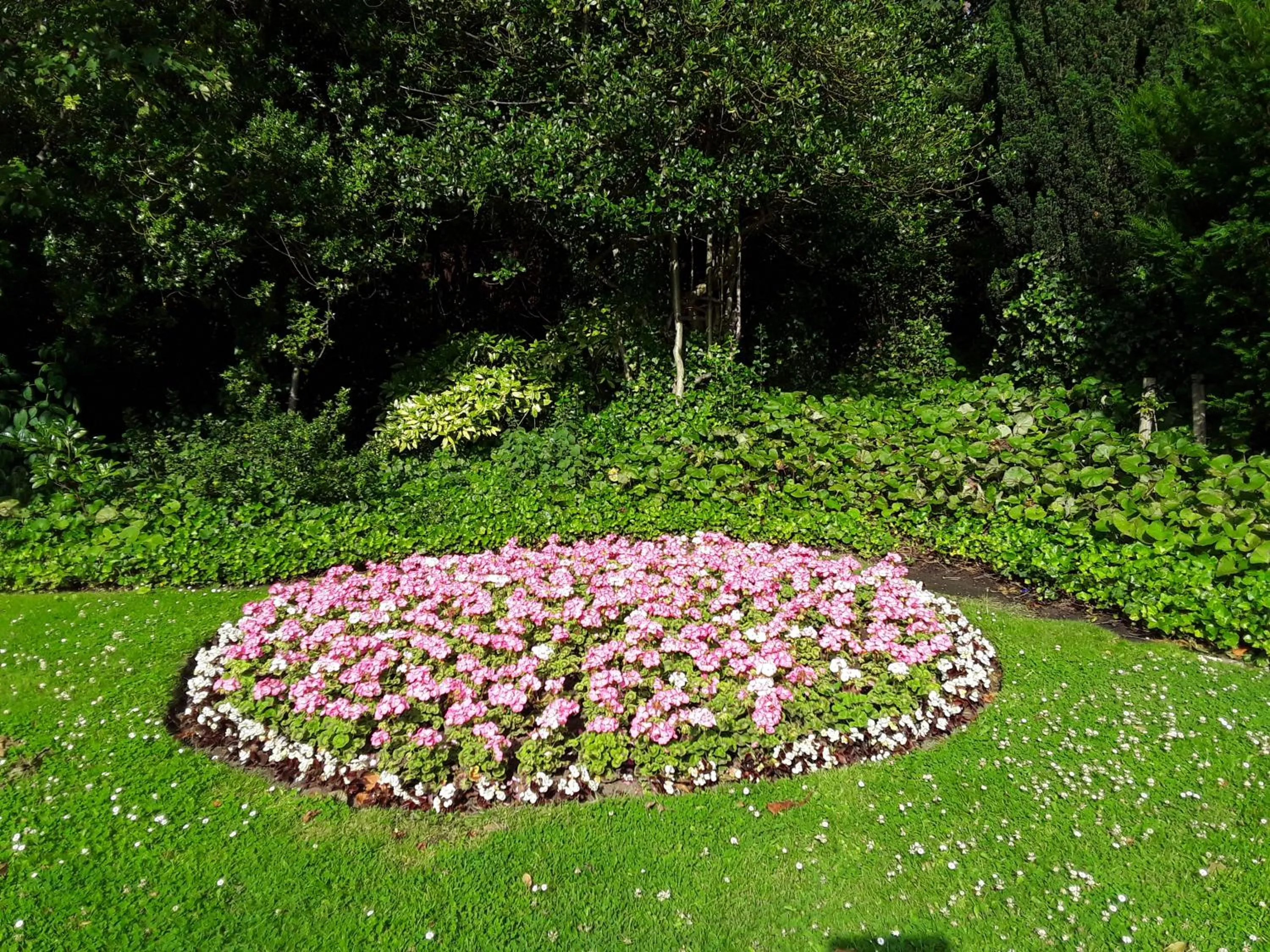 Nearby landmark in The Haven