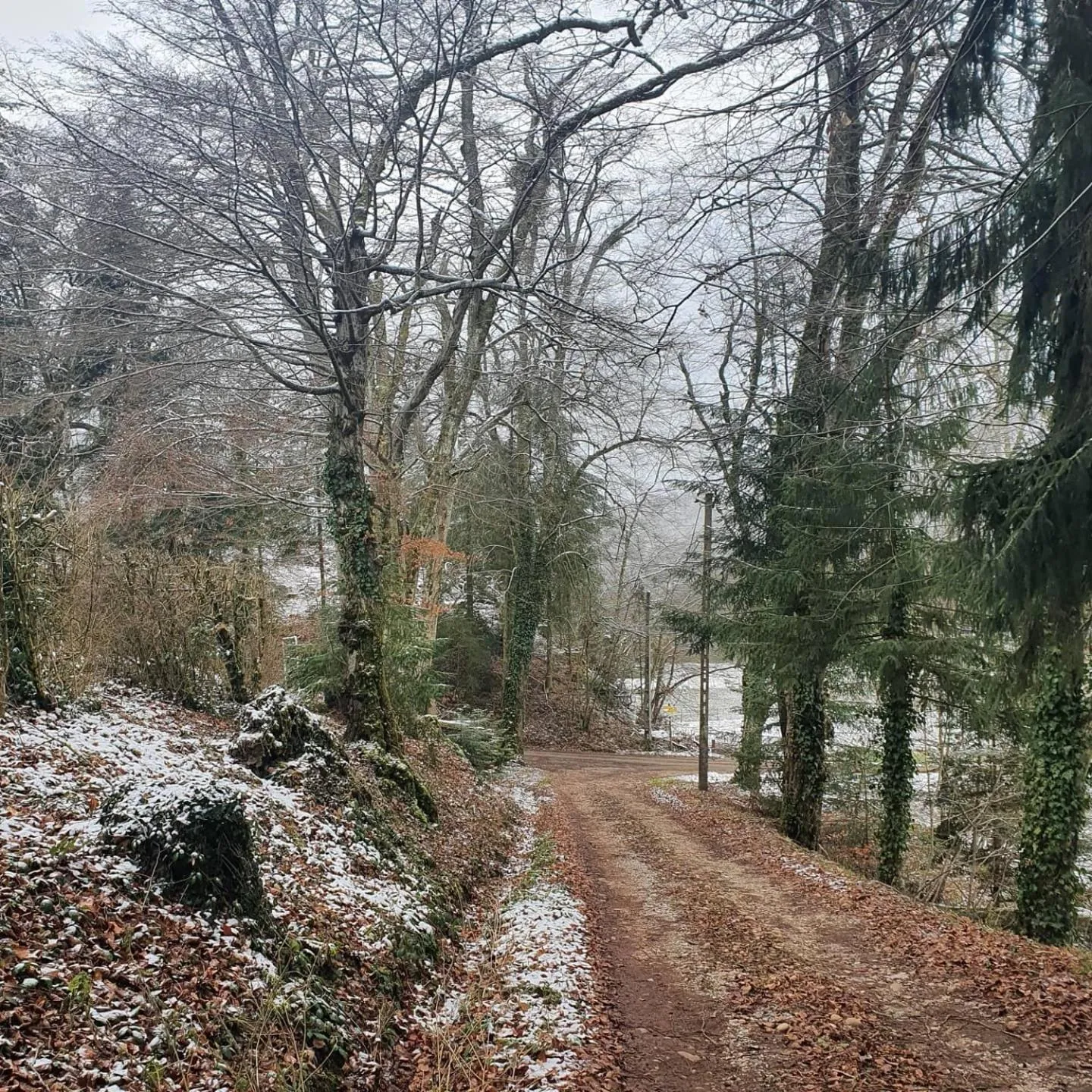 Natural landscape in Chateau de Bonnevaux