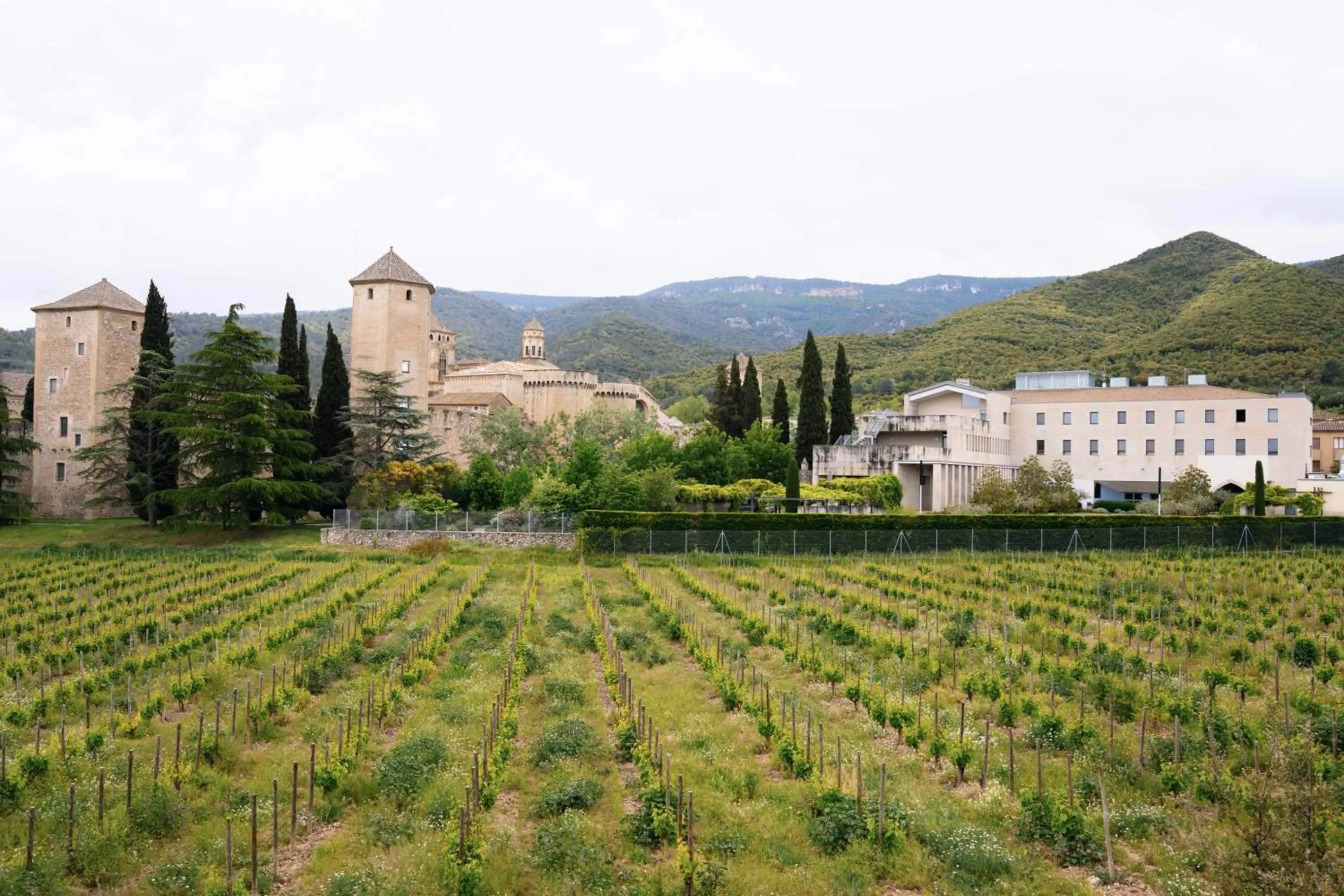 Property building in Hostatgeria de Poblet