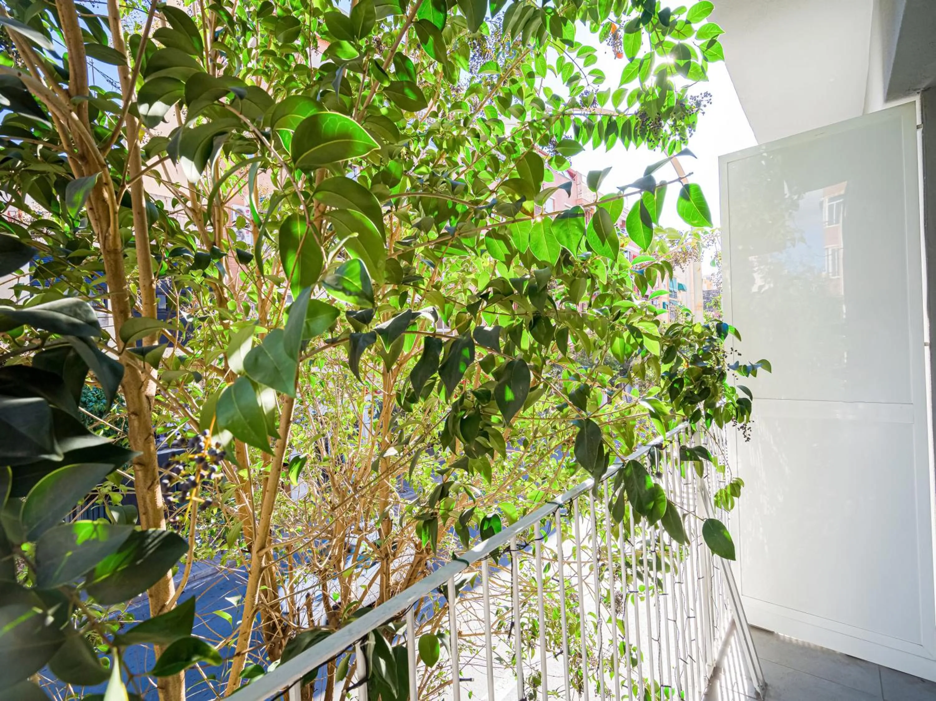 Balcony/Terrace in Hostal Jireh