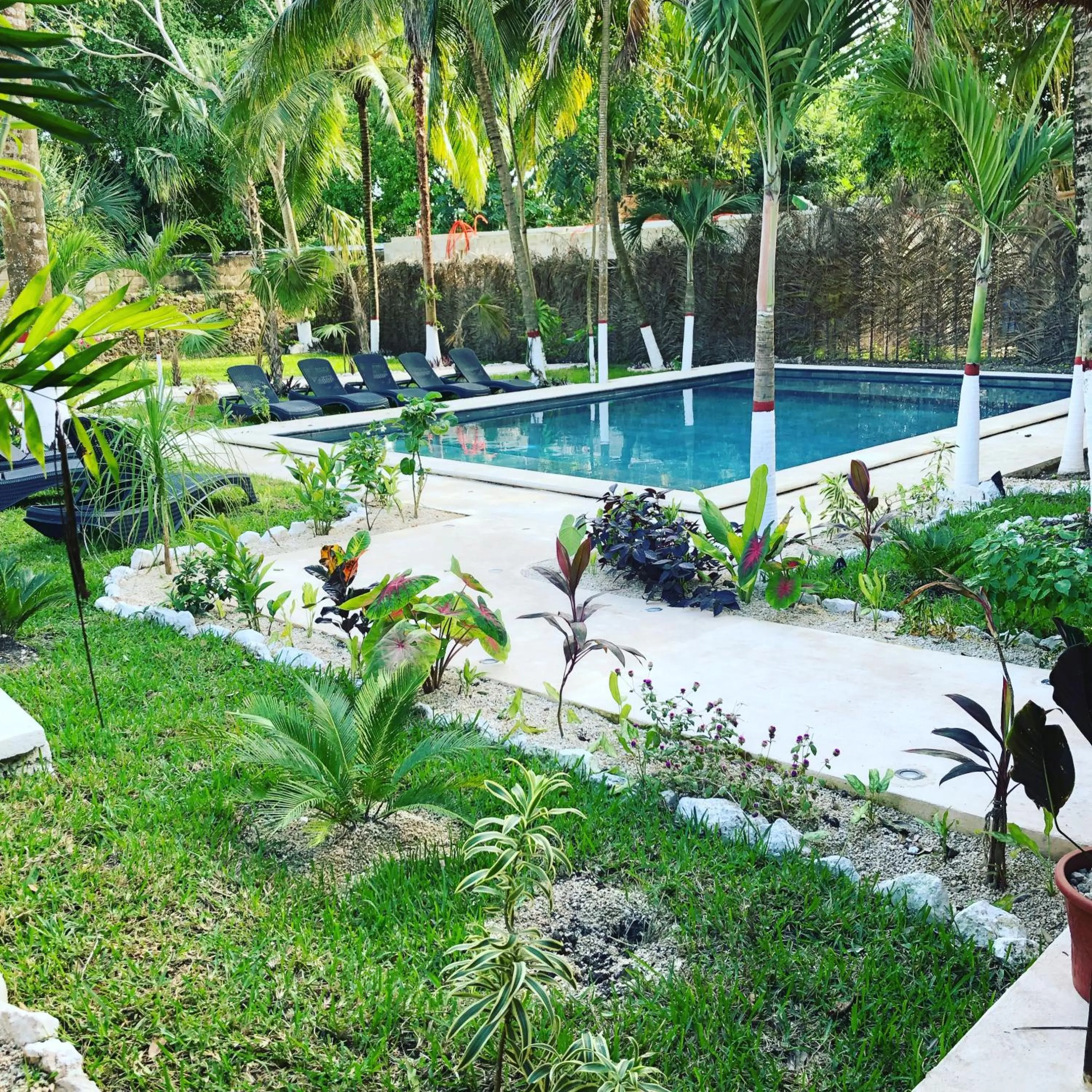Swimming pool in Tierra Maya Hotel Spa & Sanctuary