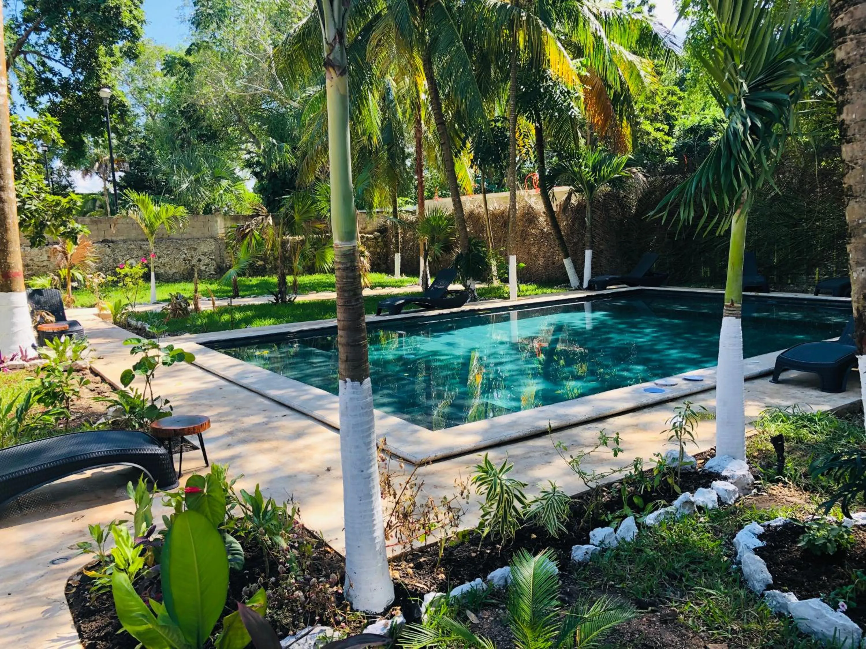 Garden in Tierra Maya Hotel Spa & Sanctuary