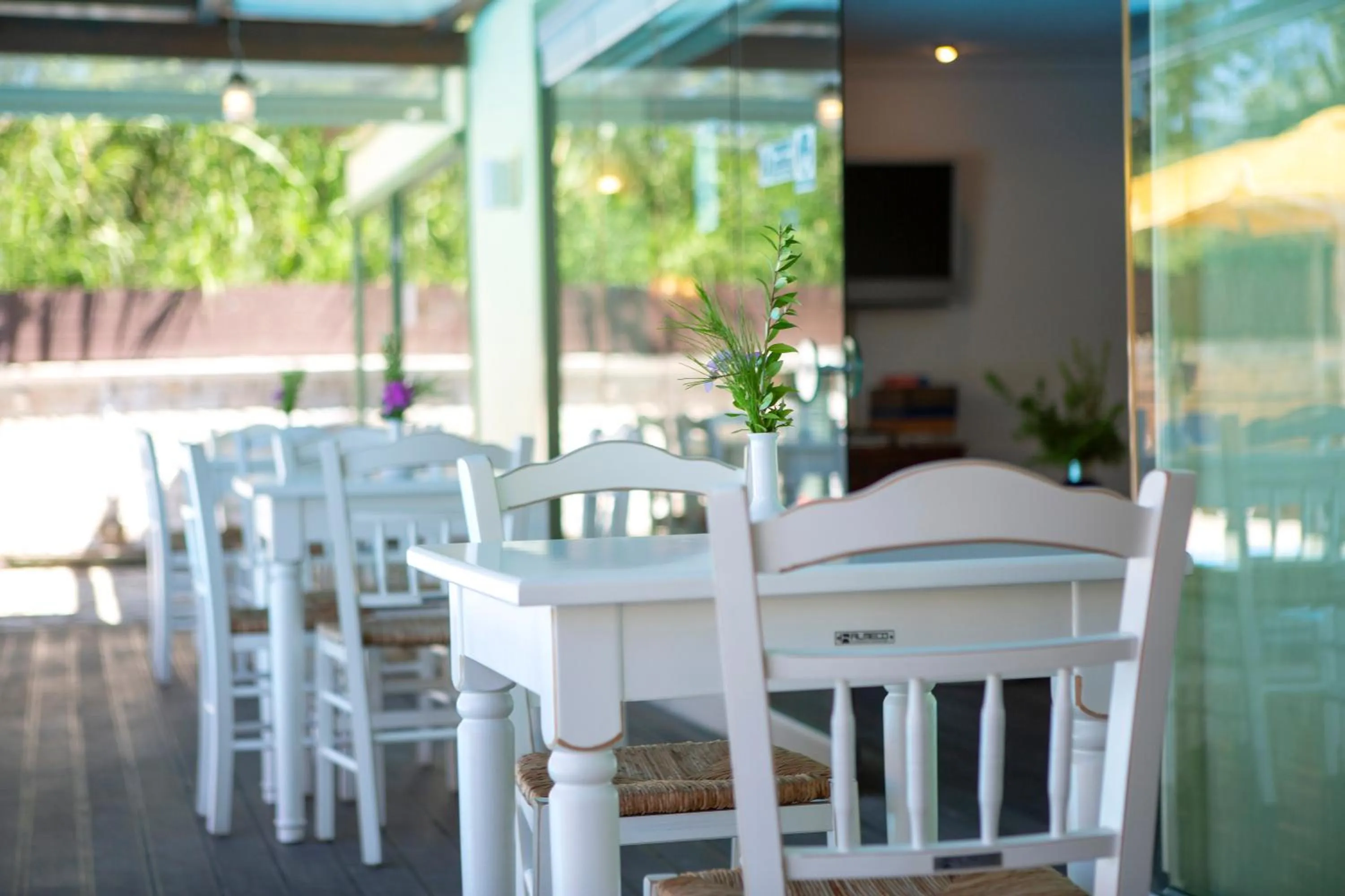 Balcony/Terrace in Cleopatra Beach