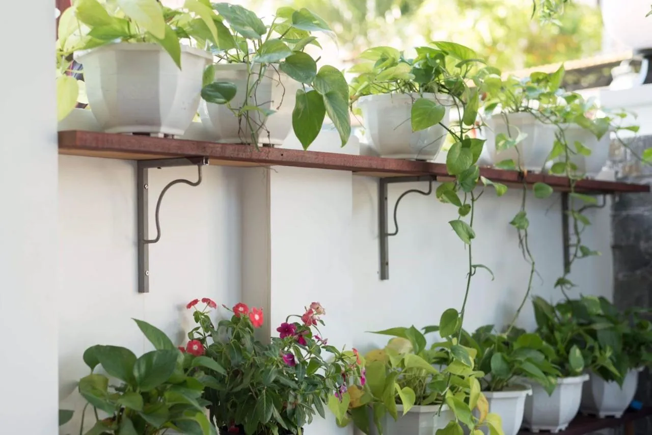 Property building in Miss Ten Homestay