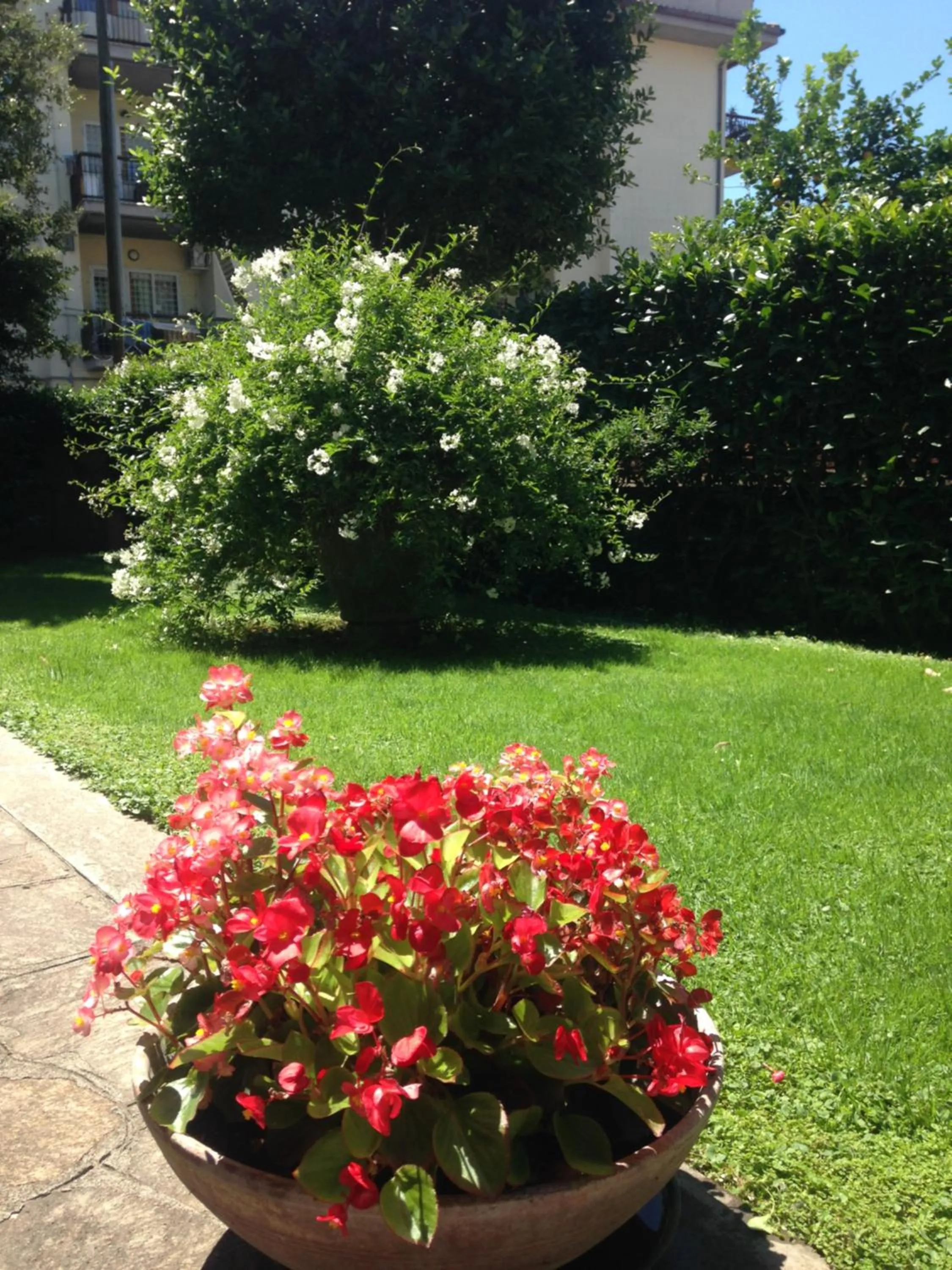 Garden in Inn Rome B&B