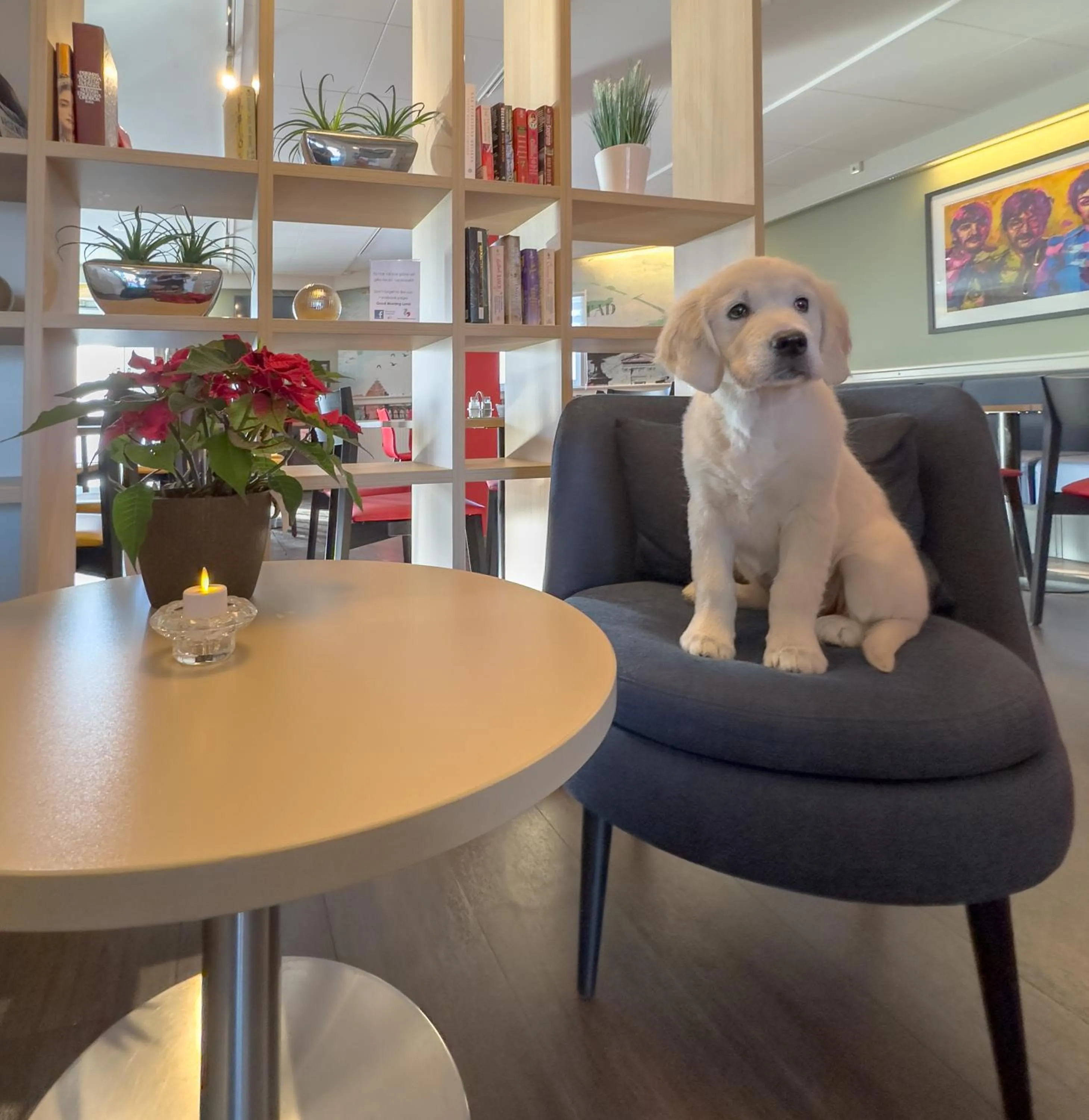 Lobby or reception in Good Morning Lund