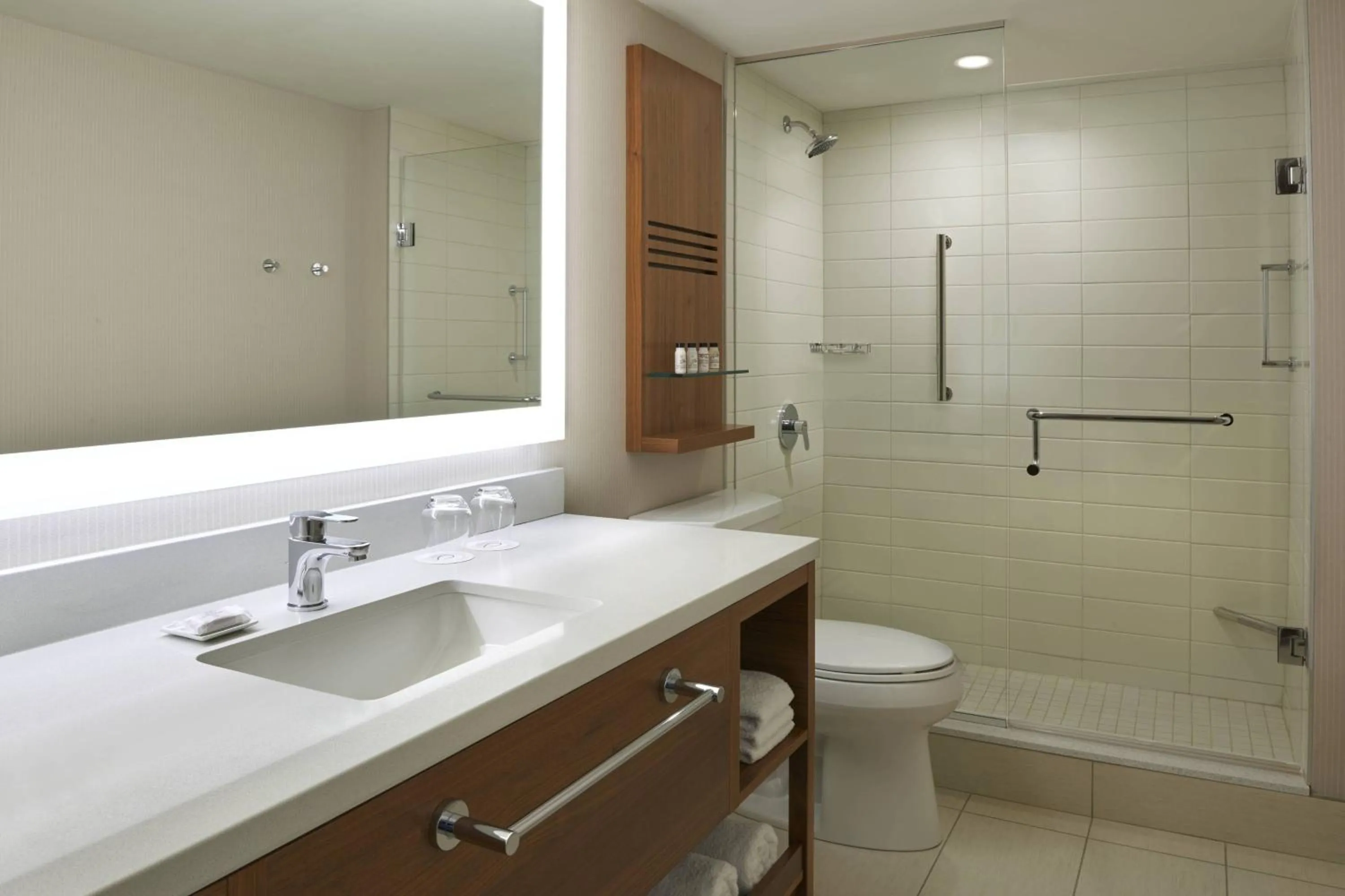 Bathroom in Delta Hotels by Marriott Toronto Airport & Conference Centre