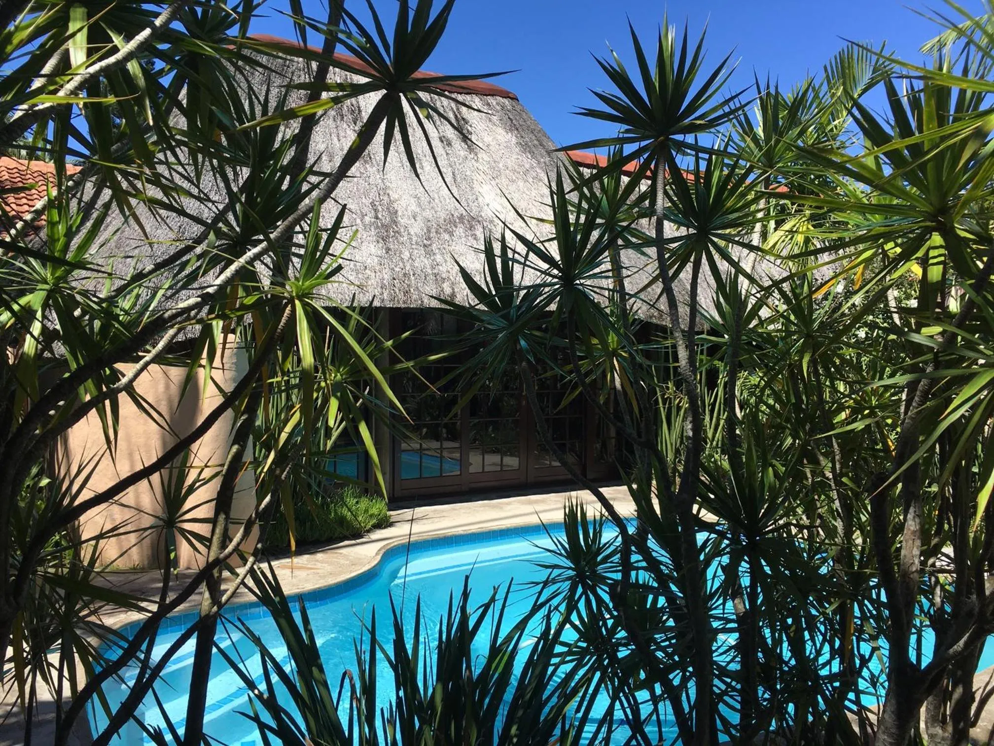 Swimming pool in Afrikhaya Guest House