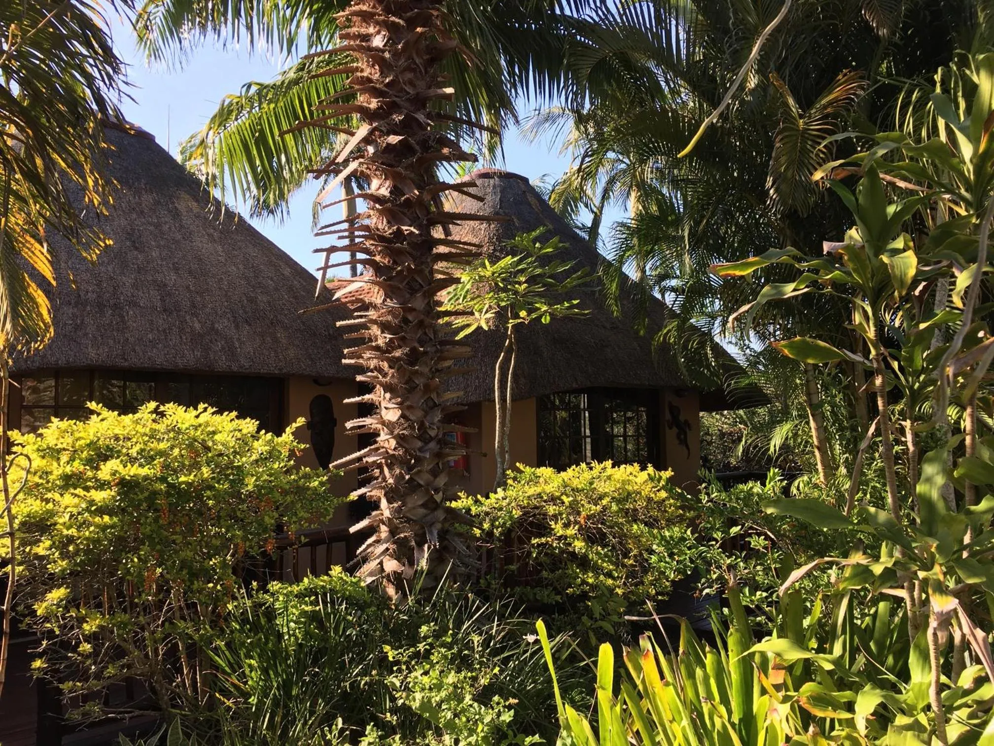 Property building in Afrikhaya Guest House