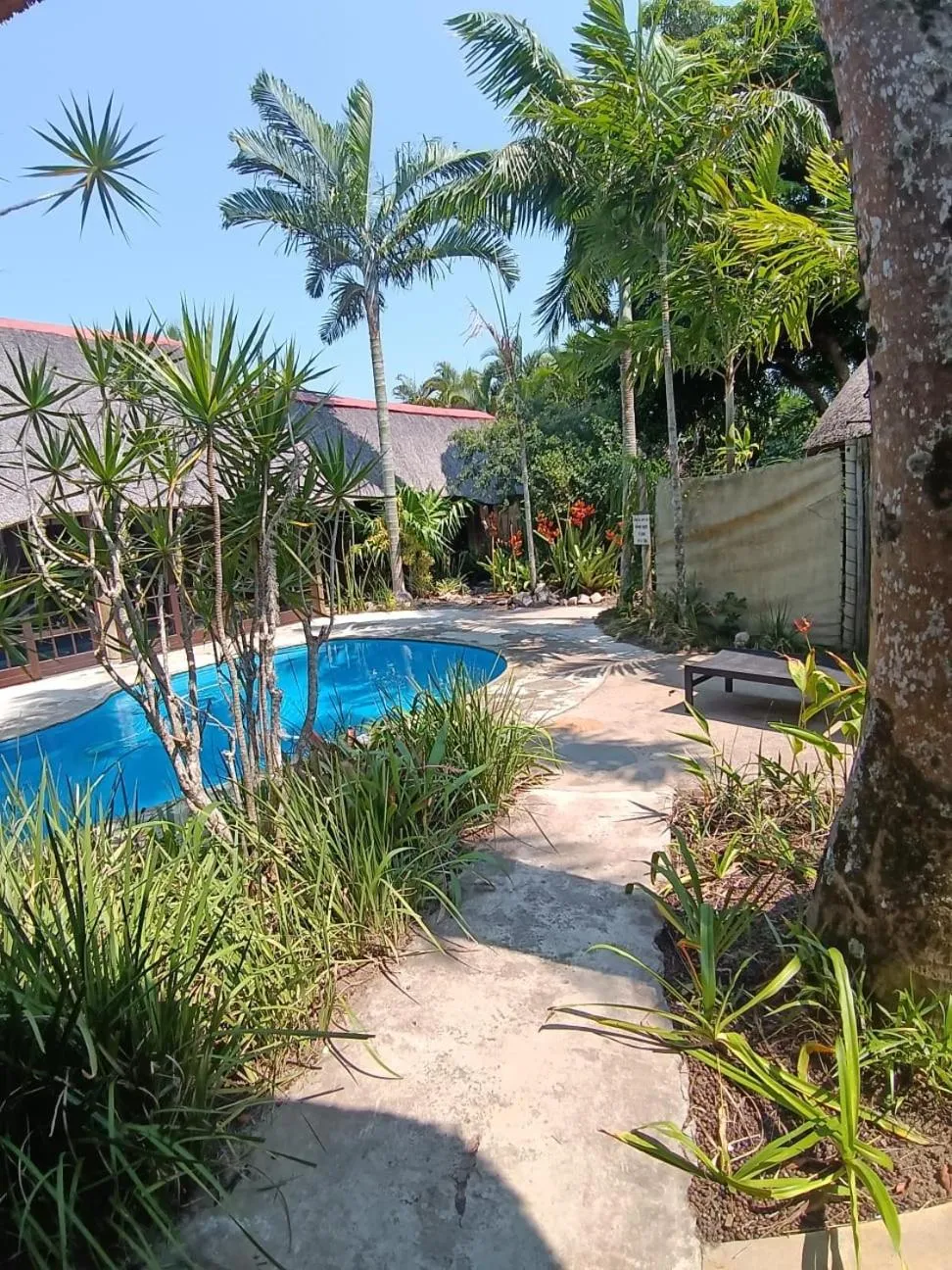 Pool view in Afrikhaya Guest House